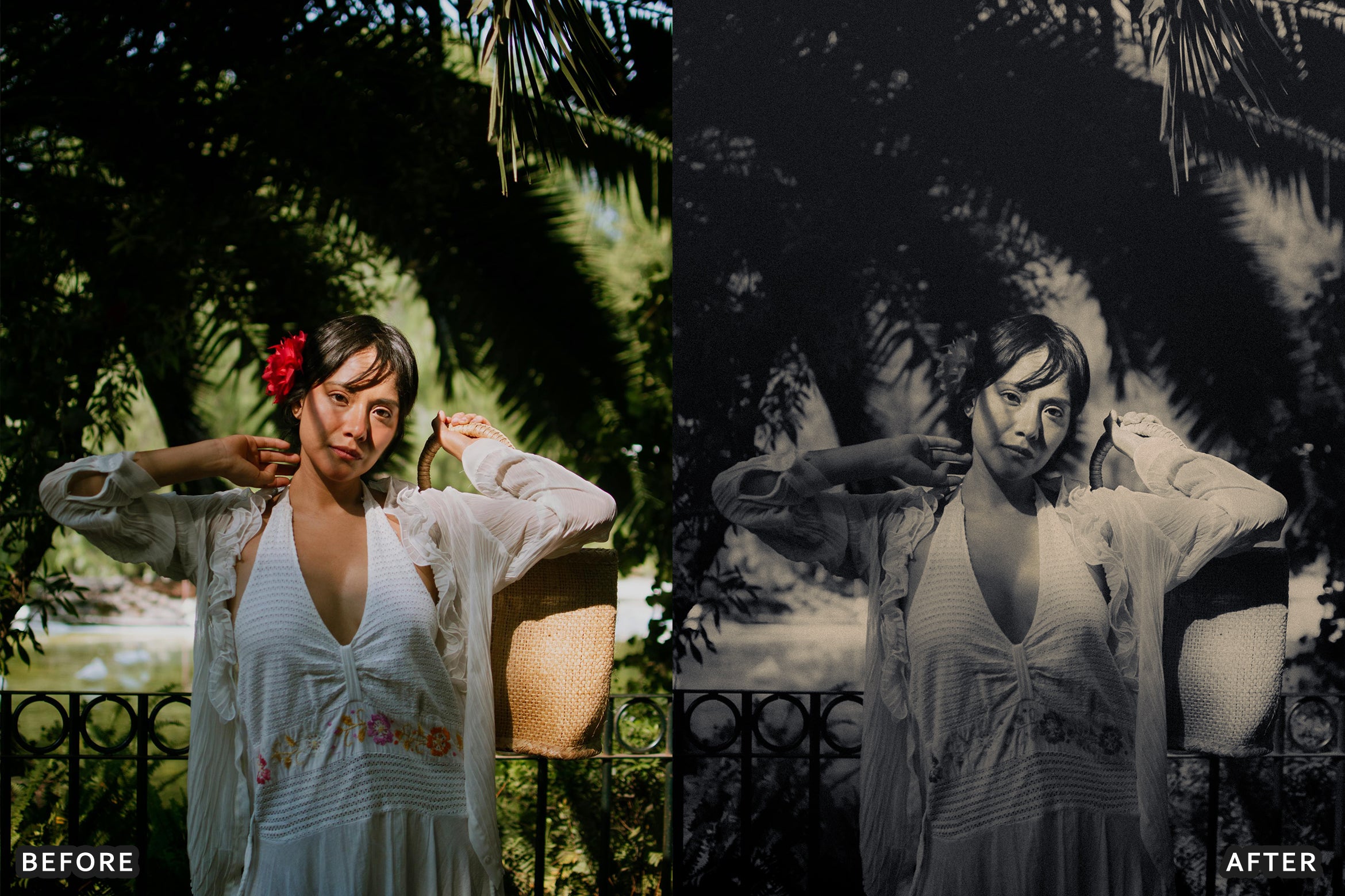 AI-Optimized Luxury Black and White Lightroom Presets