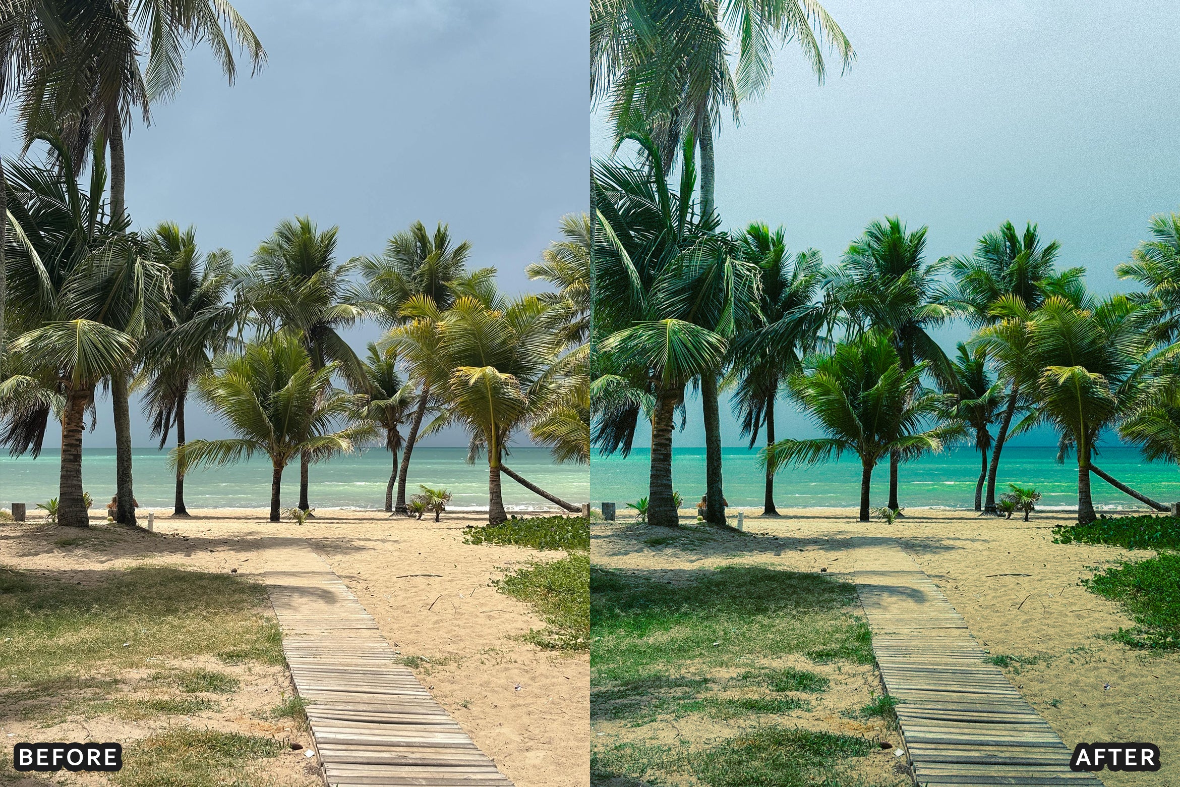 AI-Optimized Tropical Beach Lightroom Presets