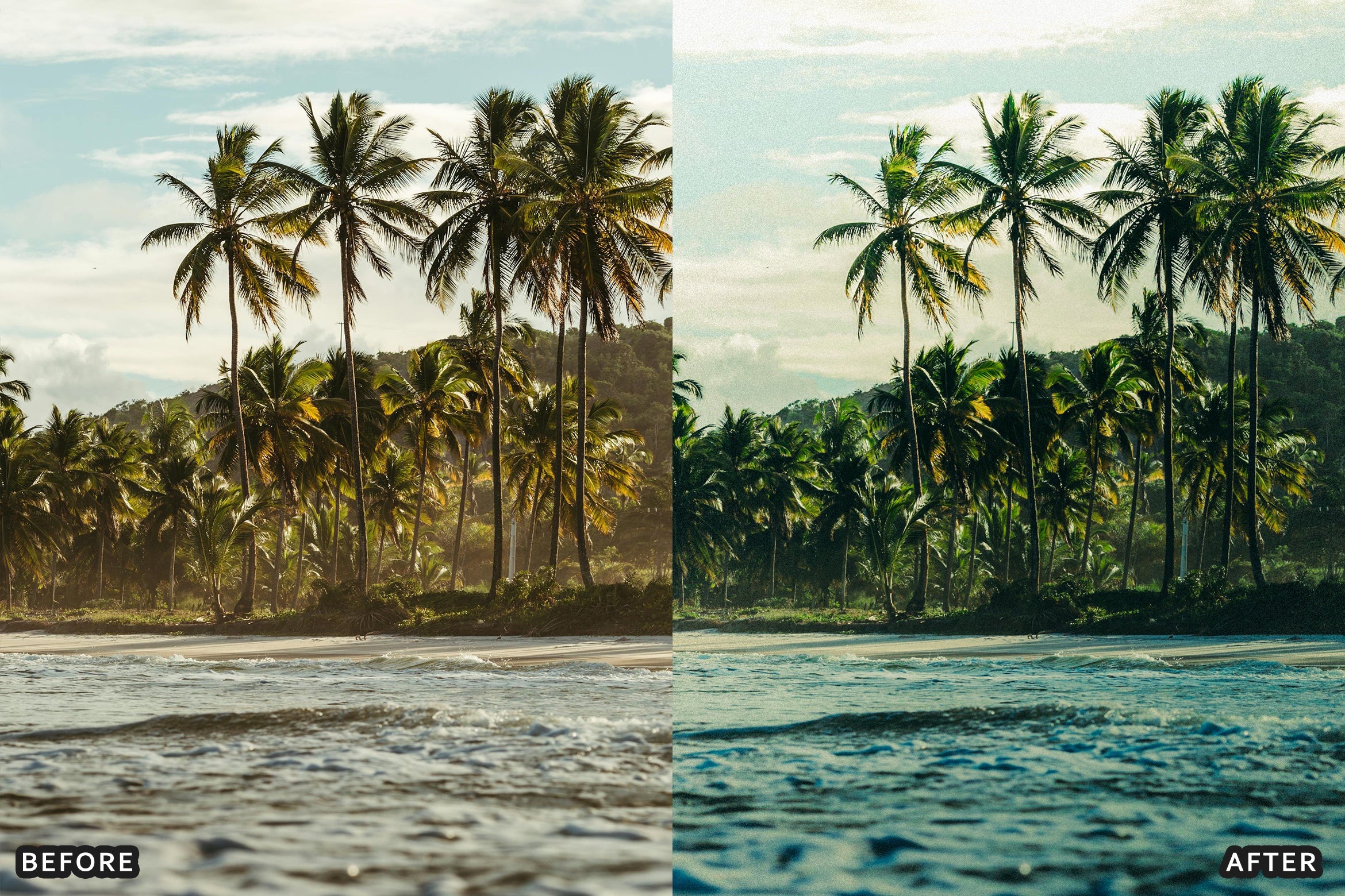 AI-Optimized Tropical Beach Lightroom Presets