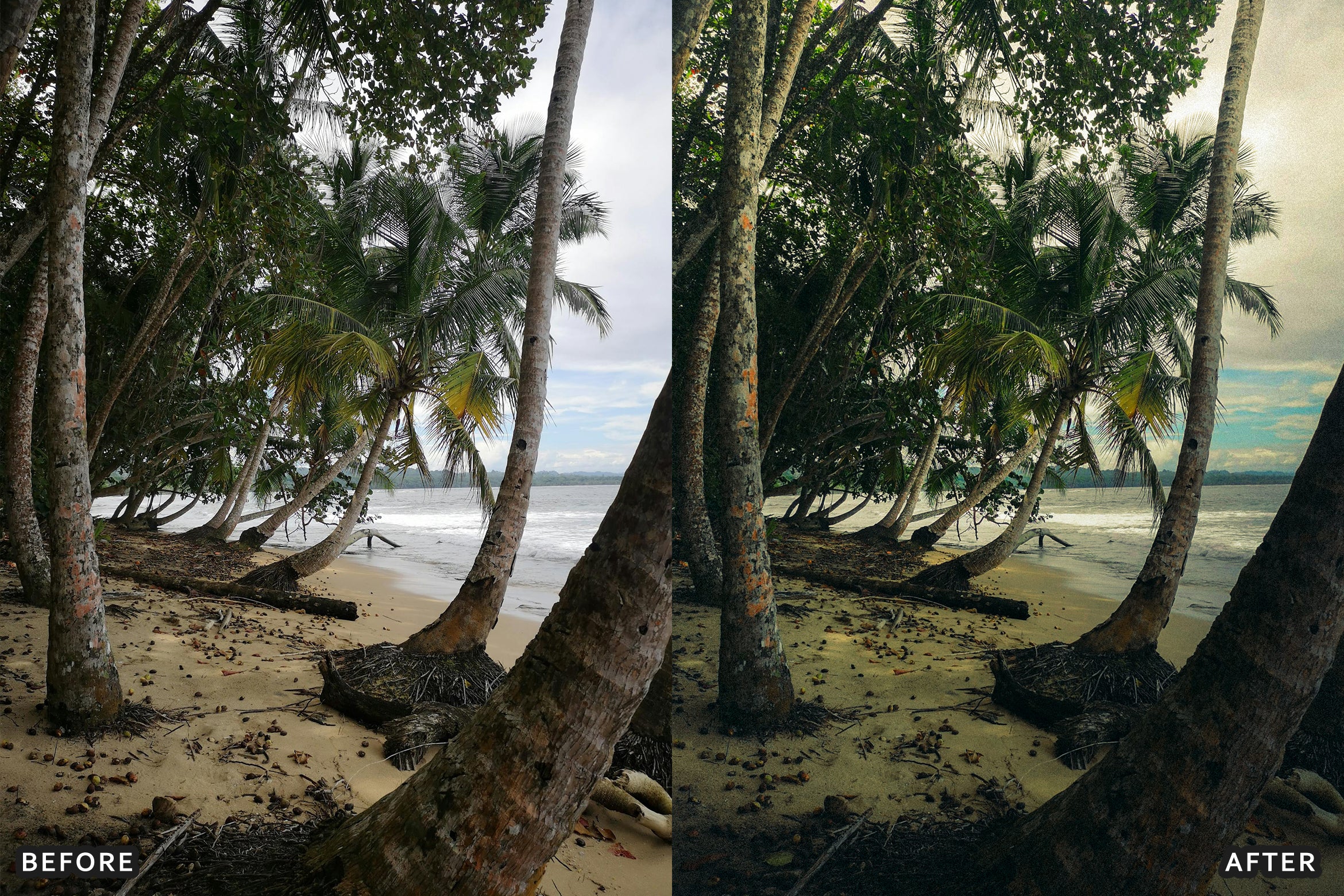 AI-Optimized Tropical Beach Lightroom Presets