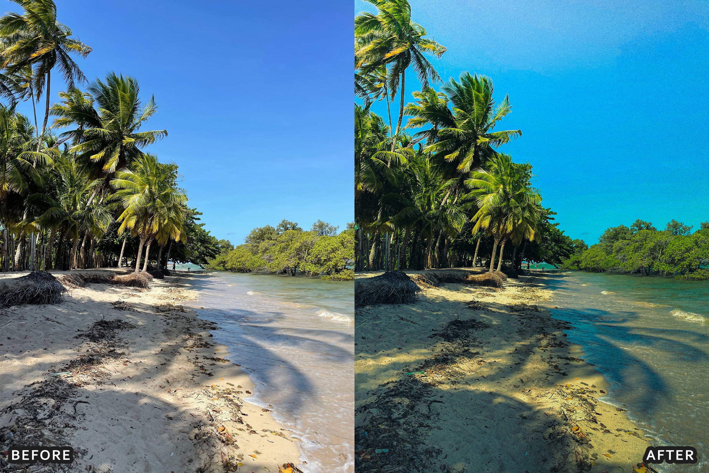 AI-Optimized Tropical Beach Lightroom Presets