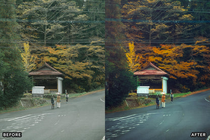 AI-Optimized Japan Anime Lightroom Presets