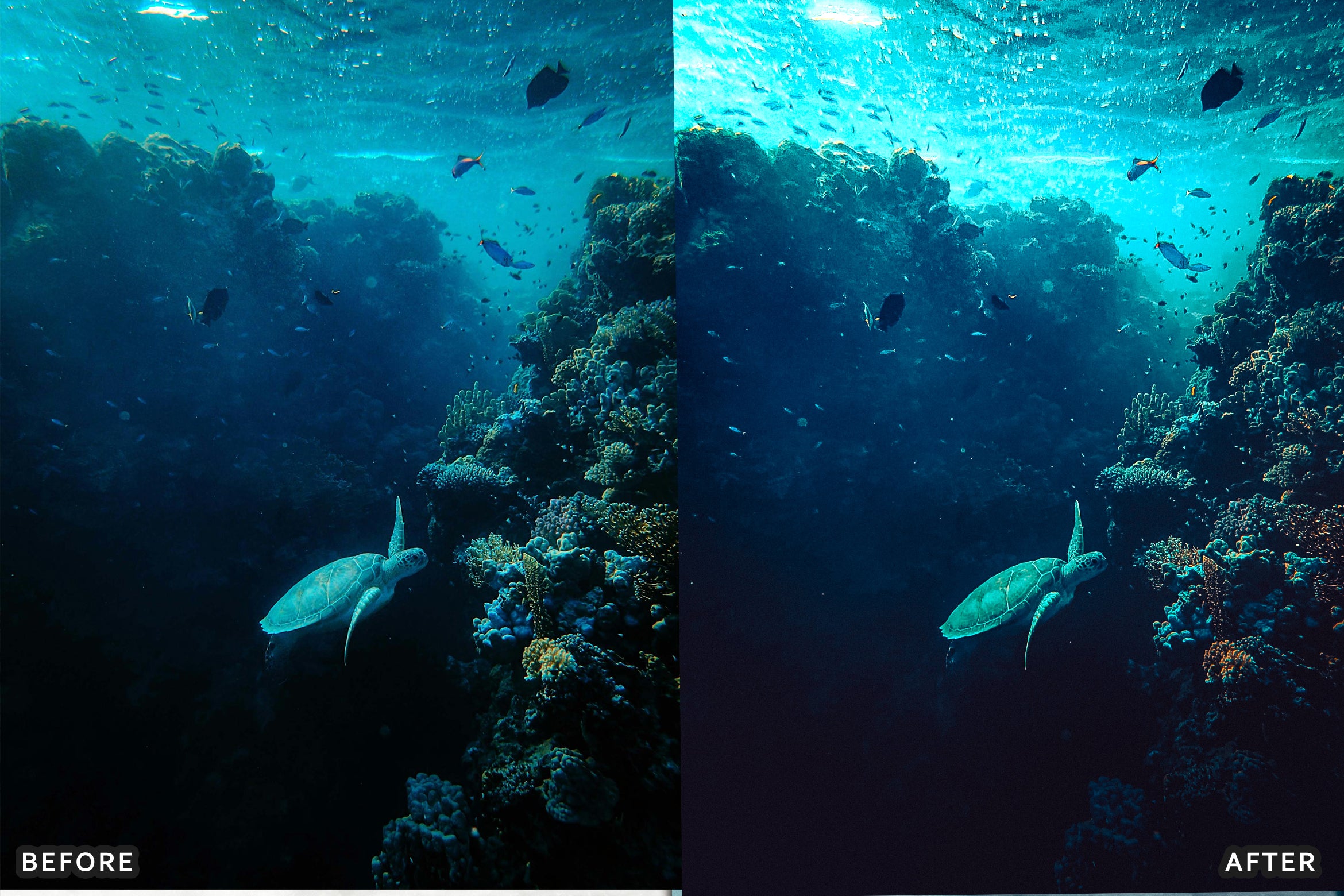 AI-Optimized Underwater Photography Lightroom Presets