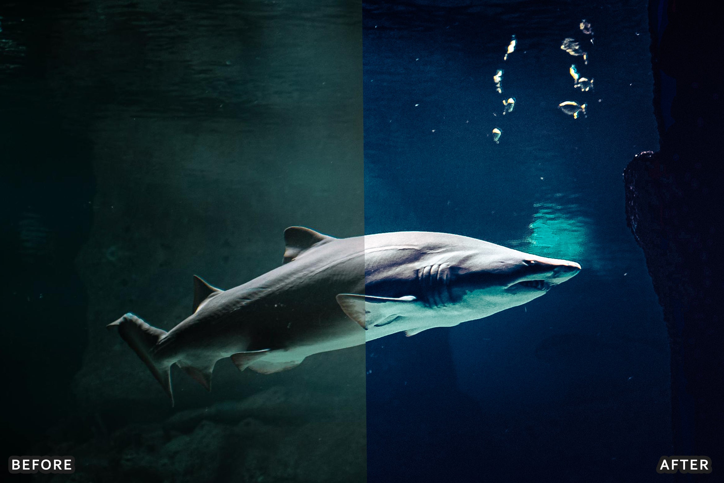 AI-Optimized Underwater Photography Lightroom Presets