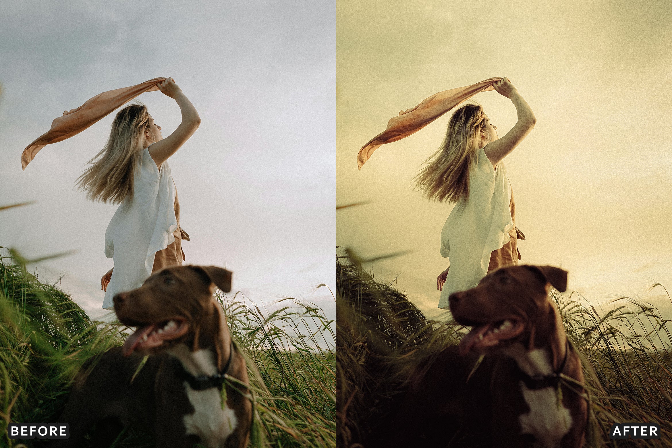 AI-Optimized Amber Forest Dream Lightroom Presets - Lightroom Presets - by AAA Presets