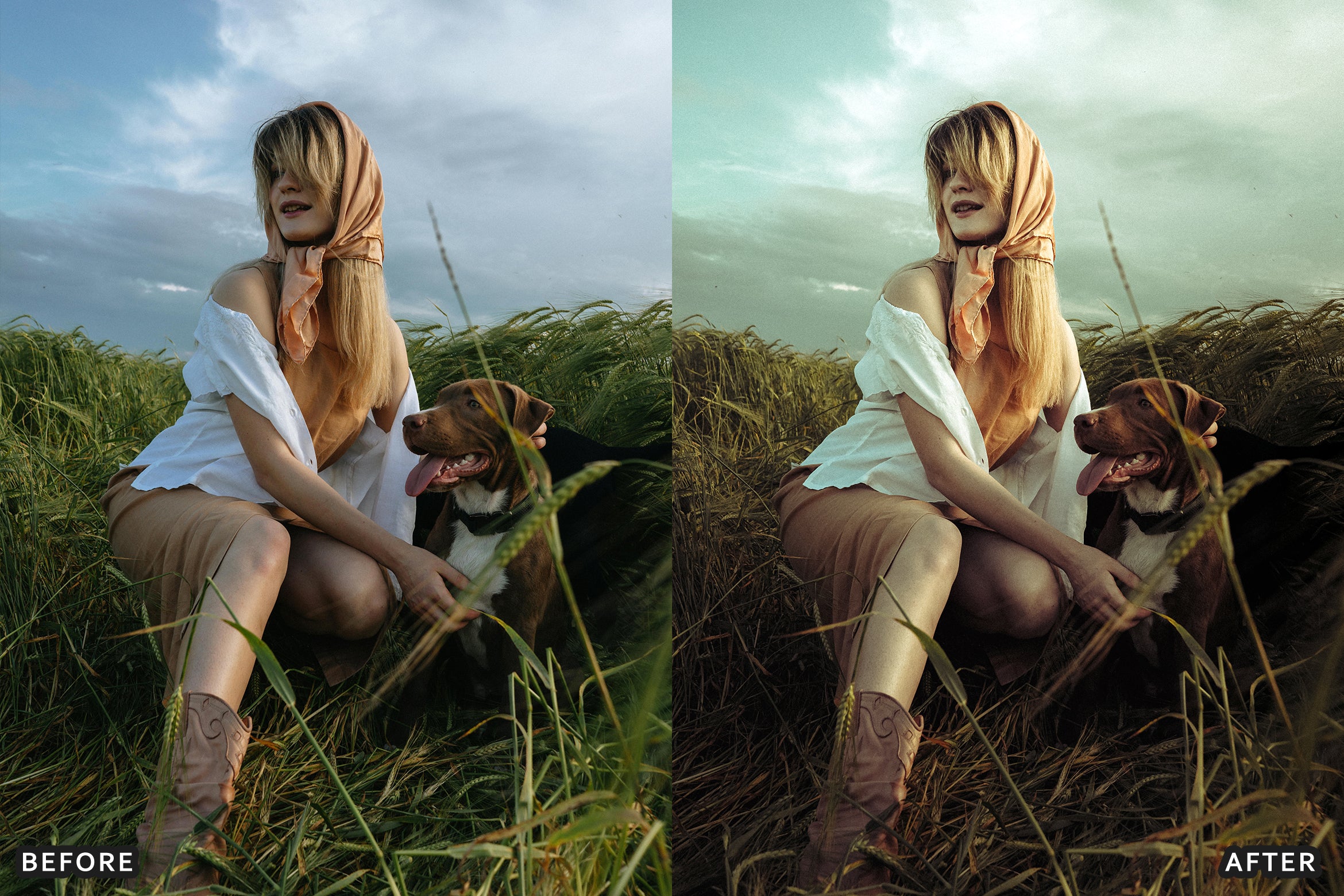 AI-Optimized Amber Forest Dream Lightroom Presets - Lightroom Presets - by AAA Presets