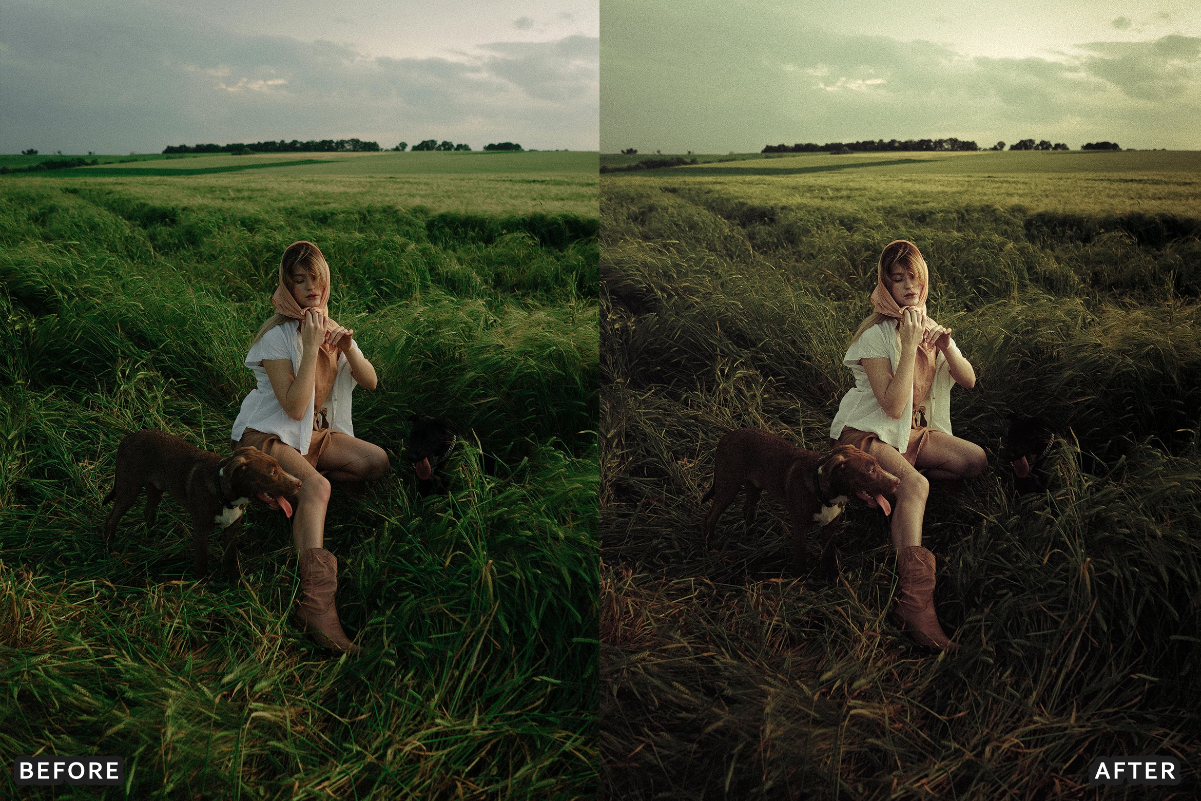 AI-Optimized Amber Forest Dream Lightroom Presets - Lightroom Presets - by AAA Presets