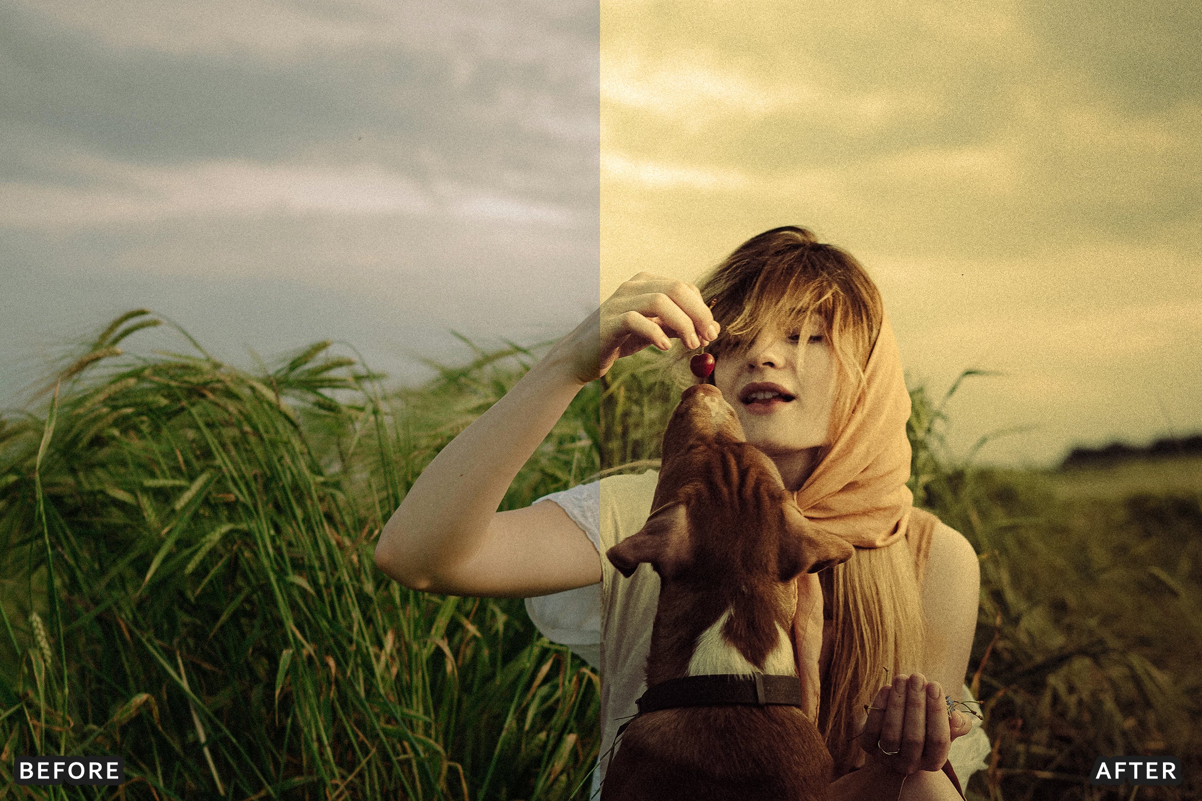 AI-Optimized Amber Forest Dream Lightroom Presets - Lightroom Presets - by AAA Presets