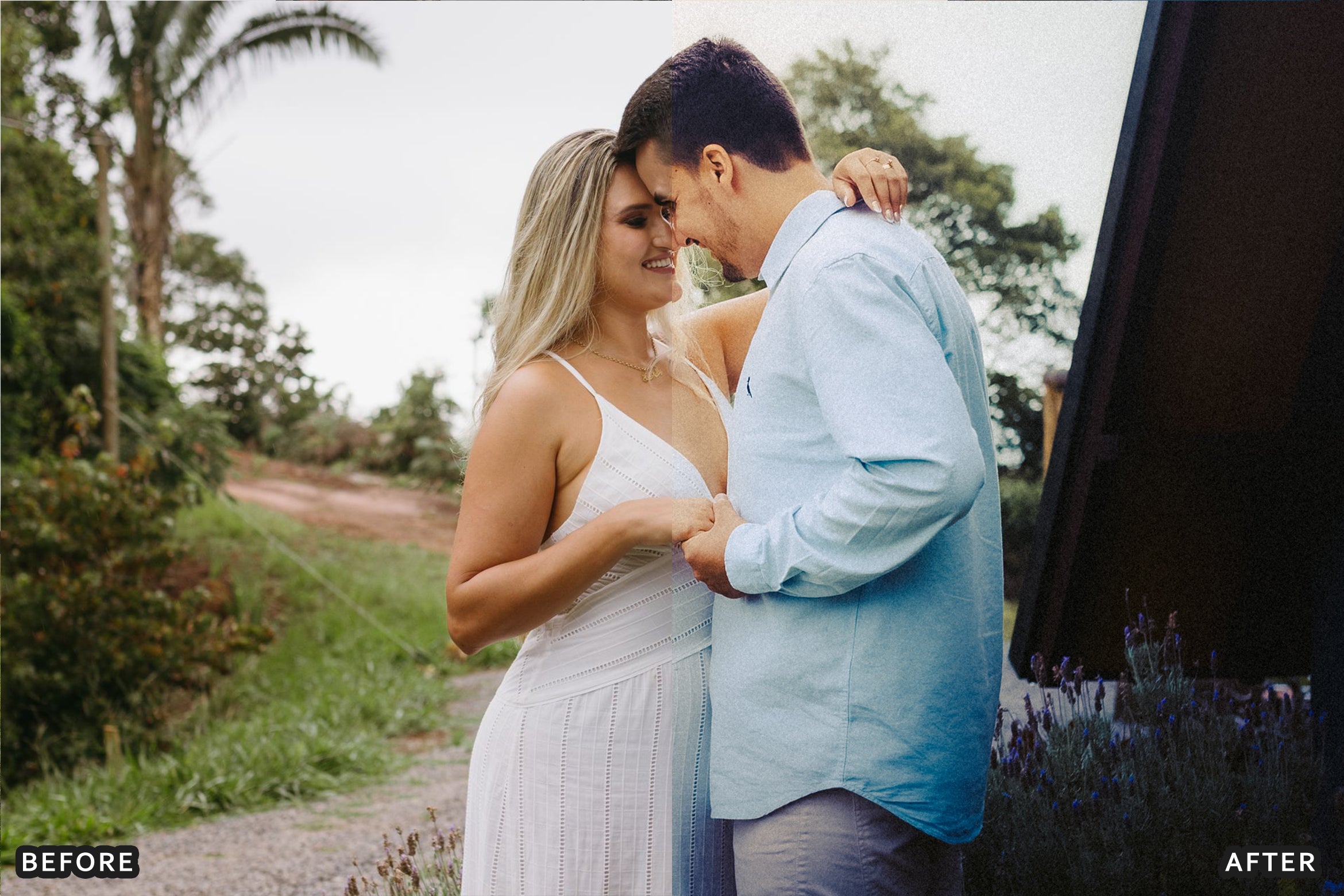 AI-Optimized Cabana Summer Film Look Lightroom Presets