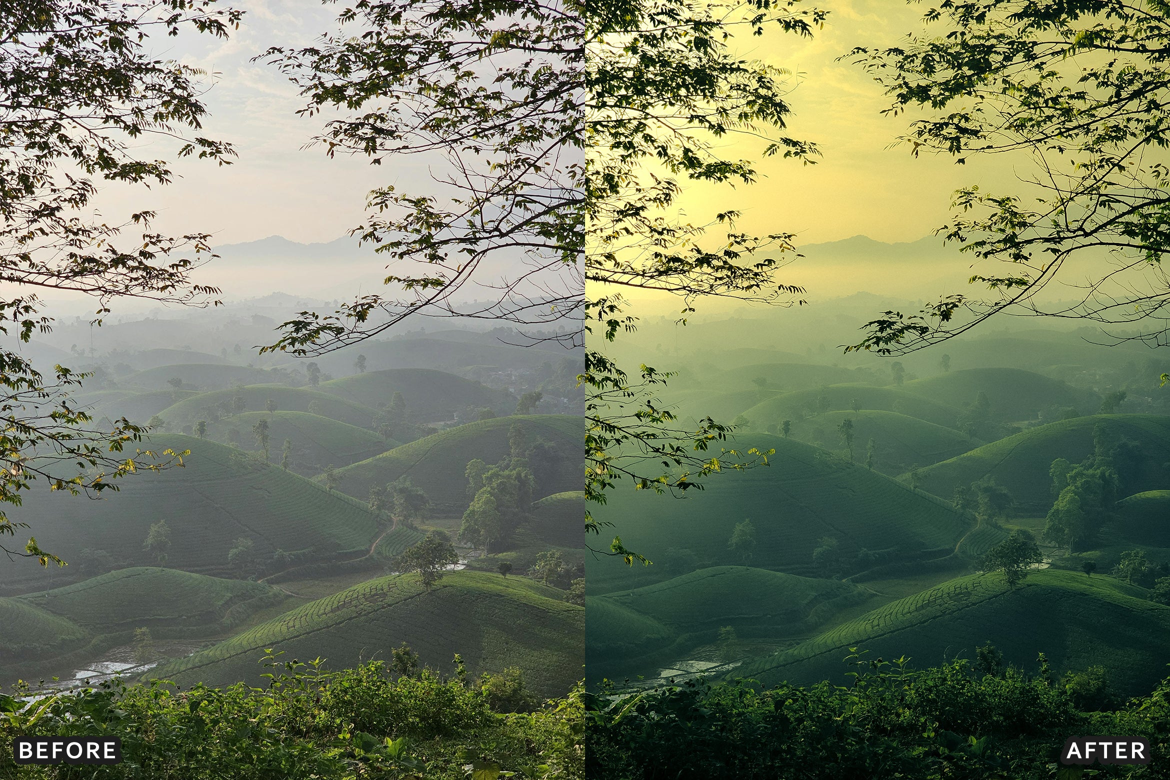 AI-Optimized Foggy Morning Lightroom Presets