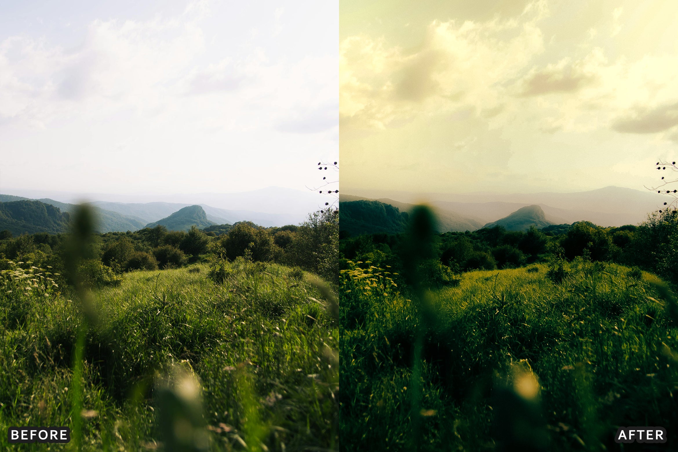 AI-Optimized Foggy Morning Lightroom Presets