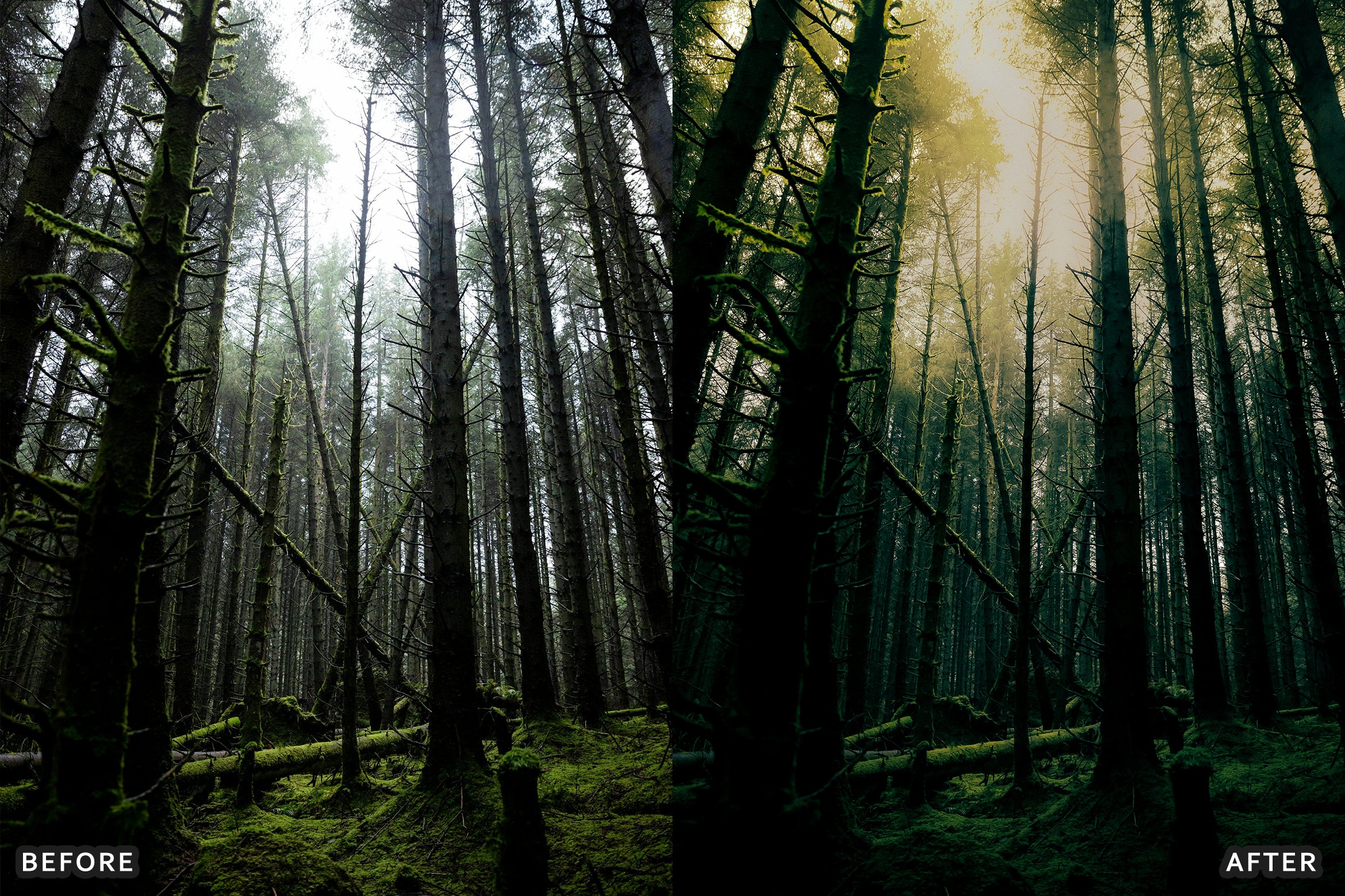 AI-Optimized Foggy Morning Lightroom Presets