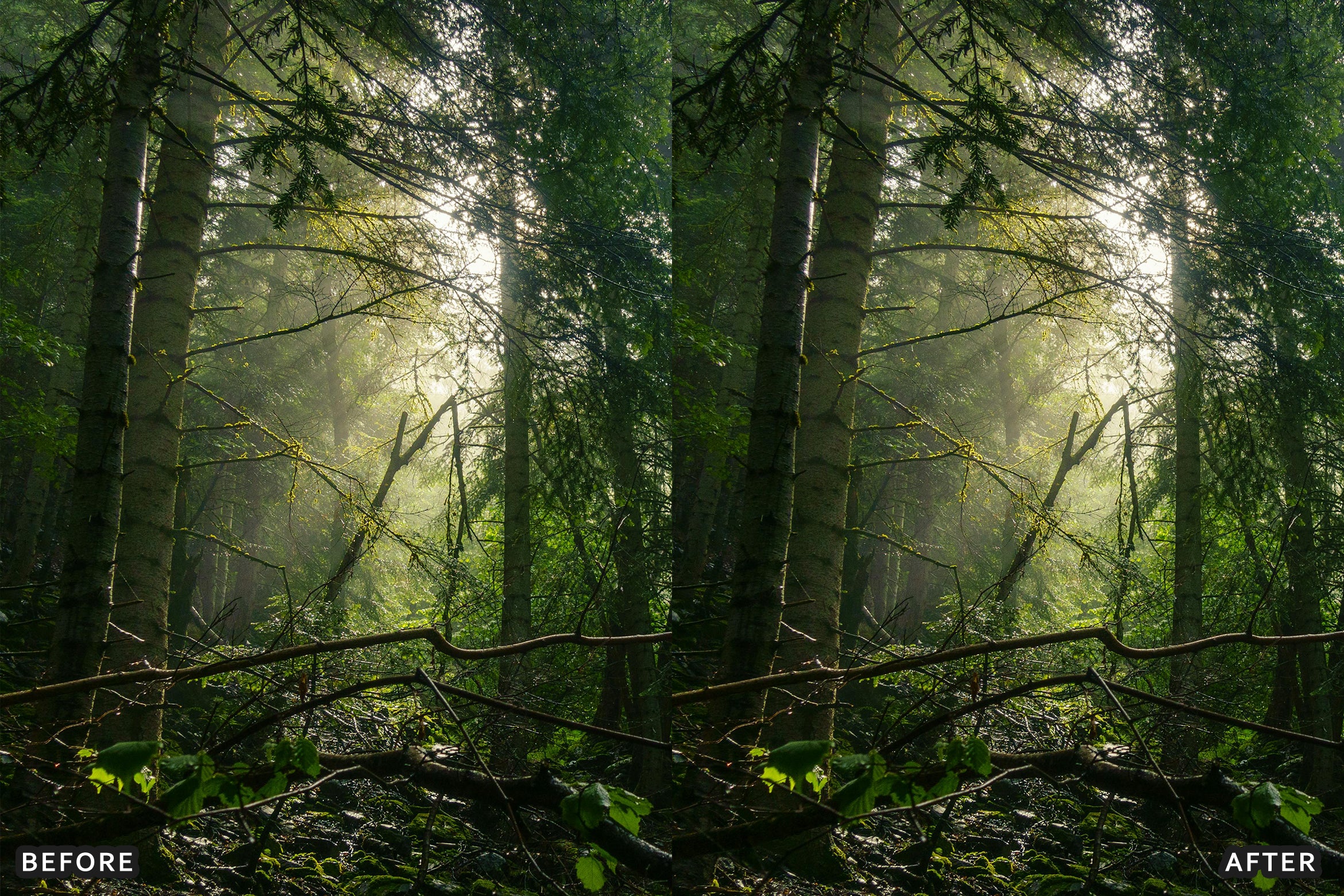 AI-Optimized Foggy Morning Lightroom Presets