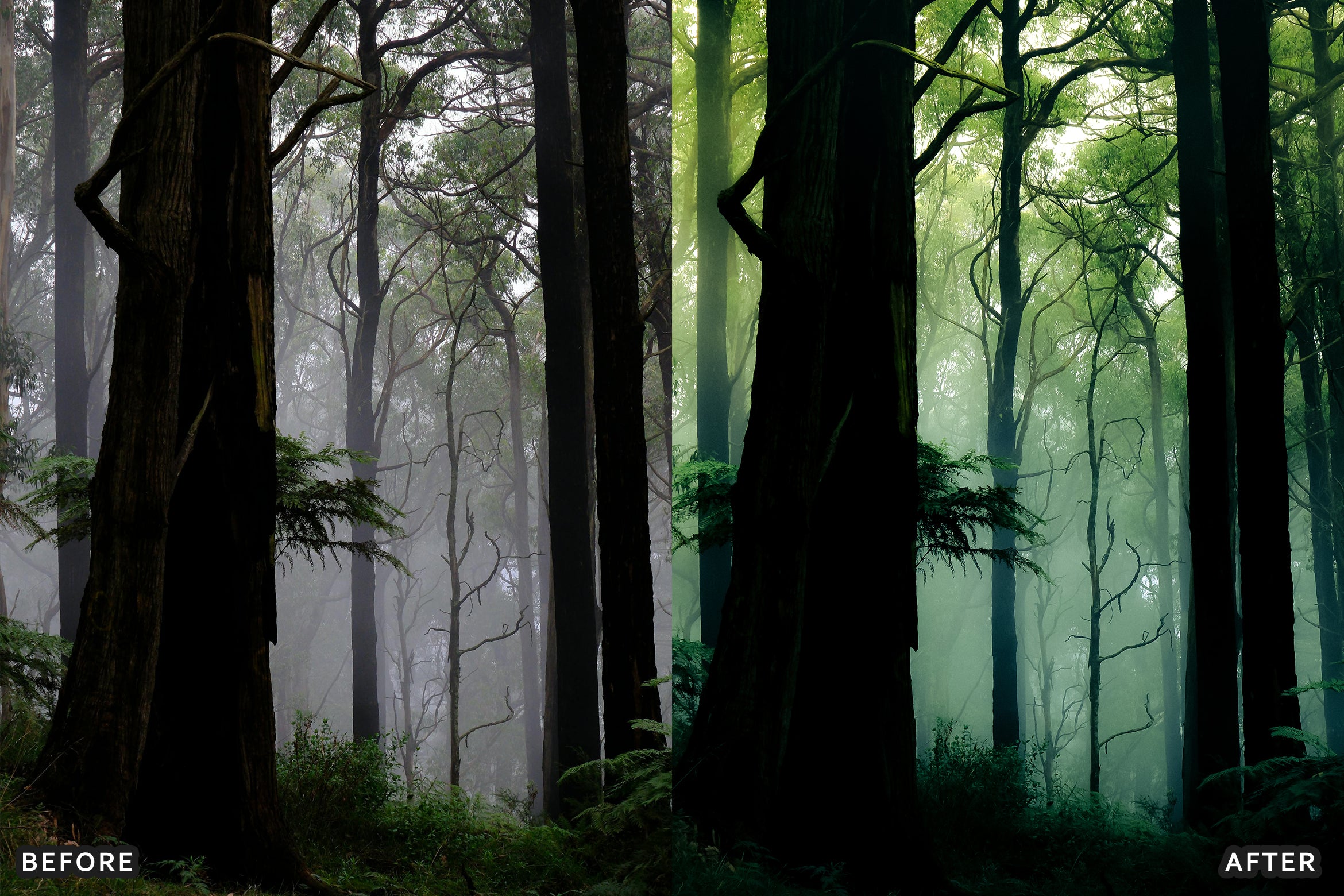 AI-Optimized Foggy Morning Lightroom Presets