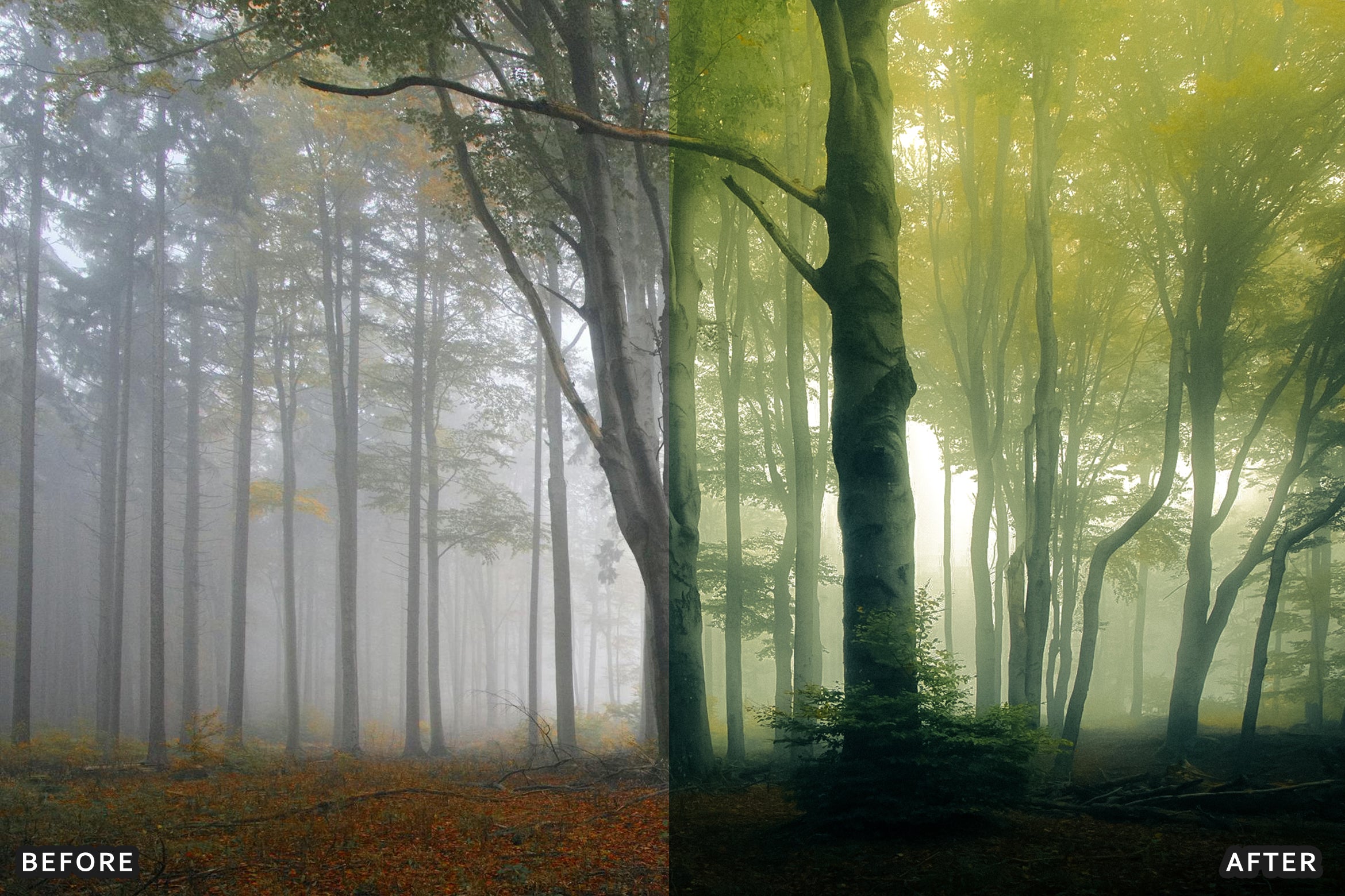AI-Optimized Foggy Morning Lightroom Presets