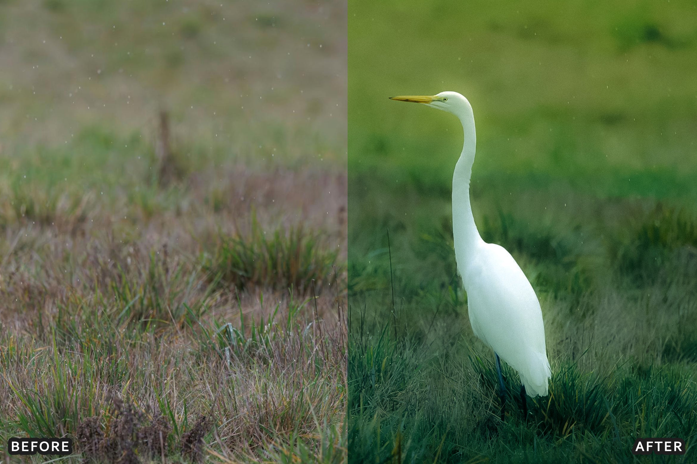 AI-Optimized Foggy Morning Lightroom Presets