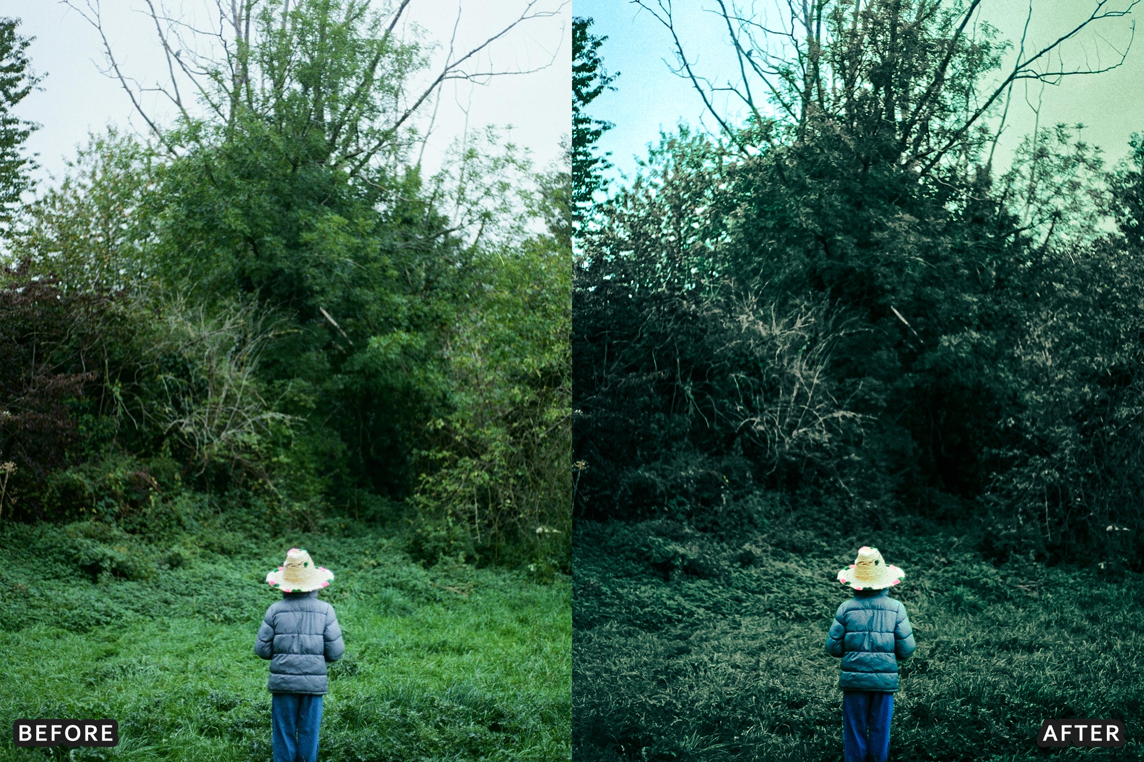 AI-Optimized Fresh Green Haze Lightroom Presets