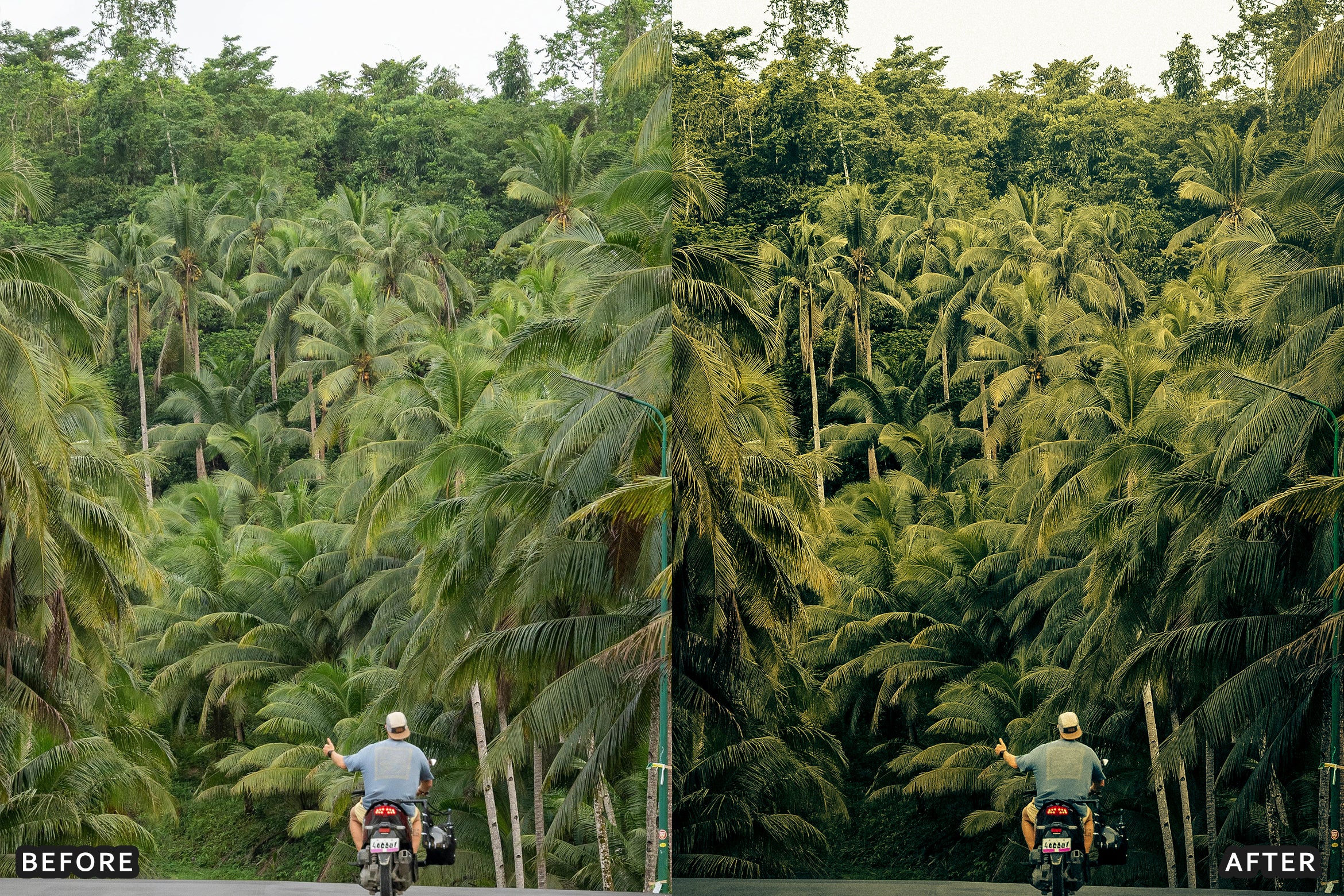 AI-Optimized Green Jungle Morning Cinematic Lightroom Presets