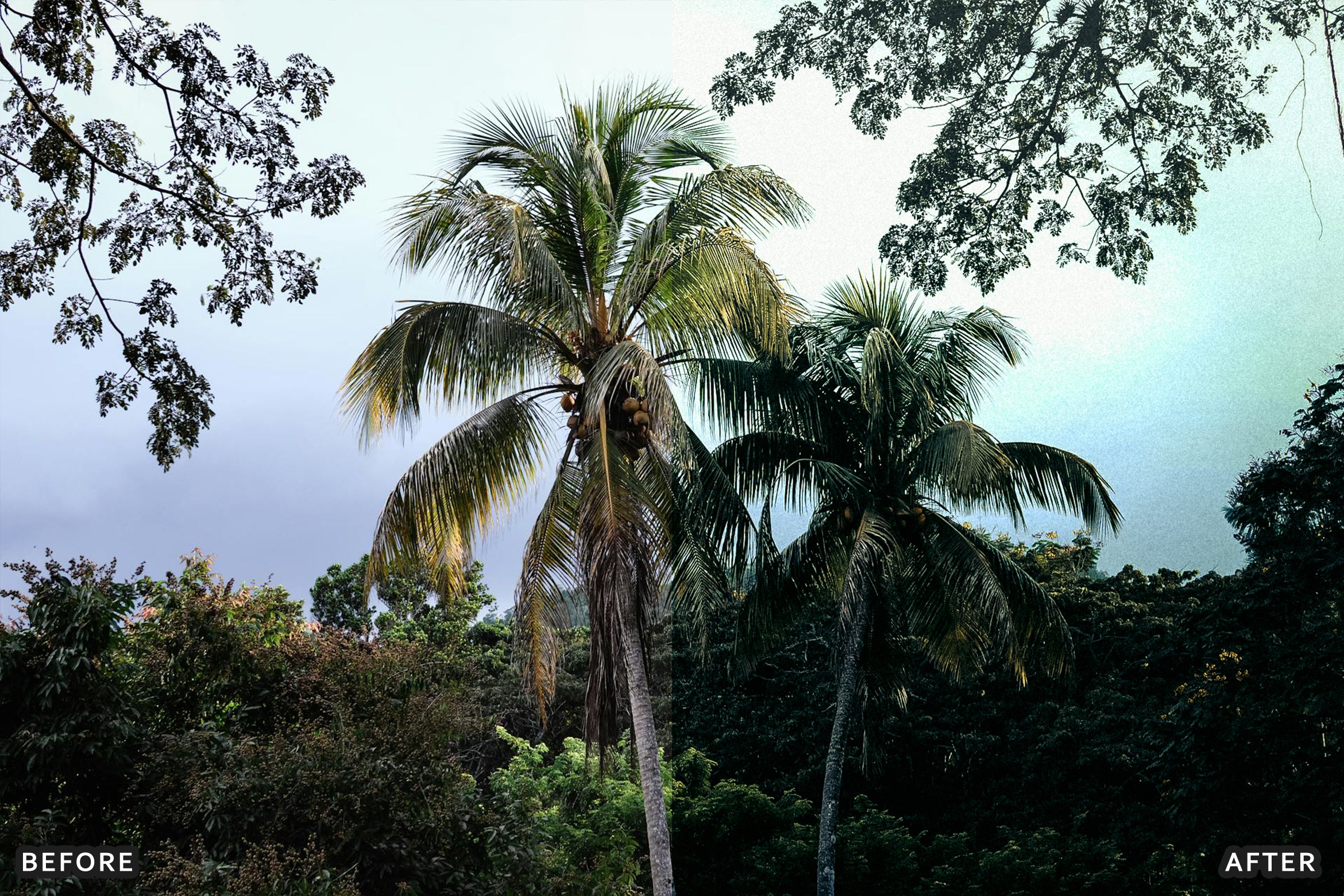 AI-Optimized Green Jungle Morning Cinematic Lightroom Presets