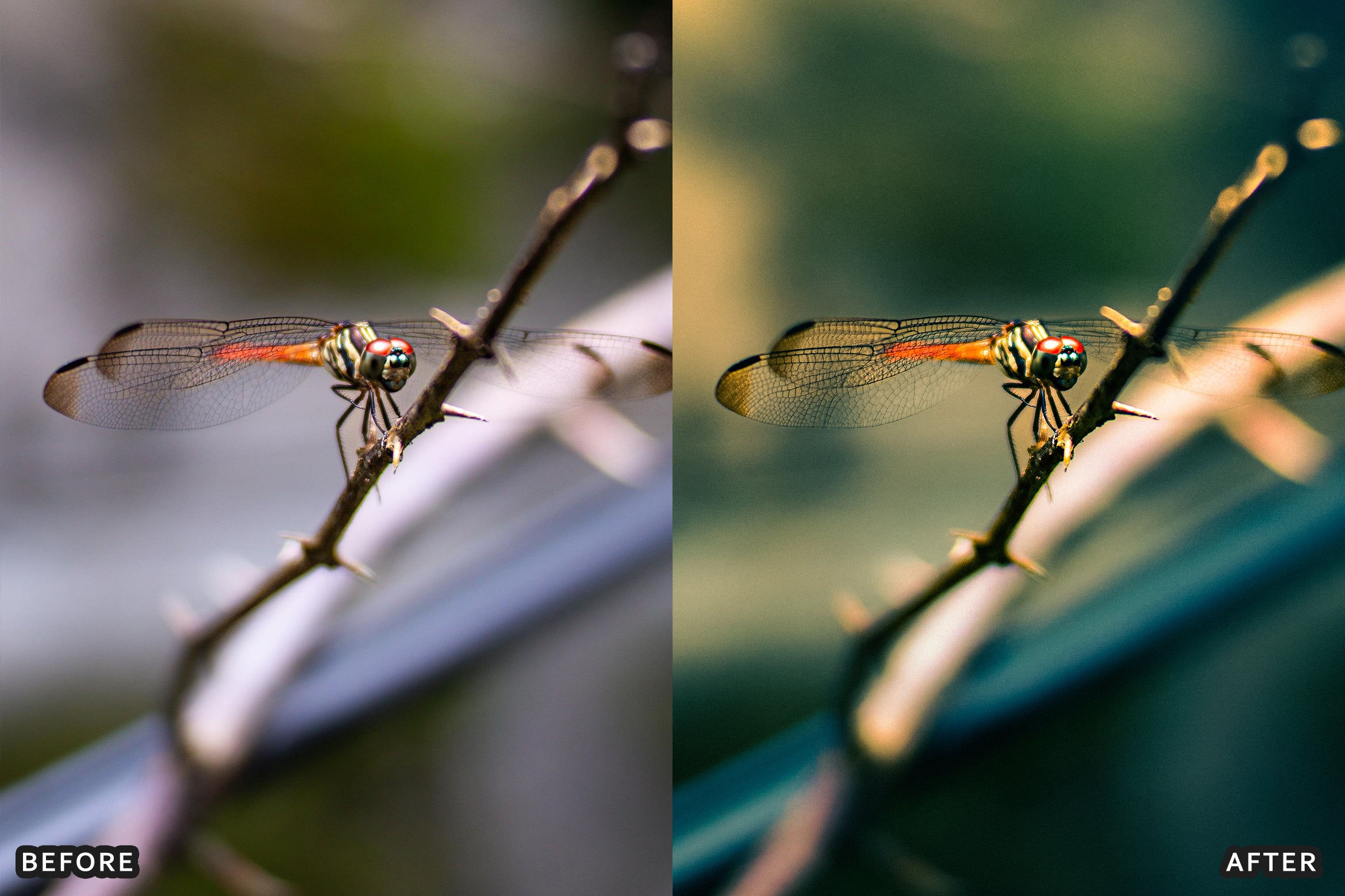 AI-Optimized Macro Photography Lightroom Preset