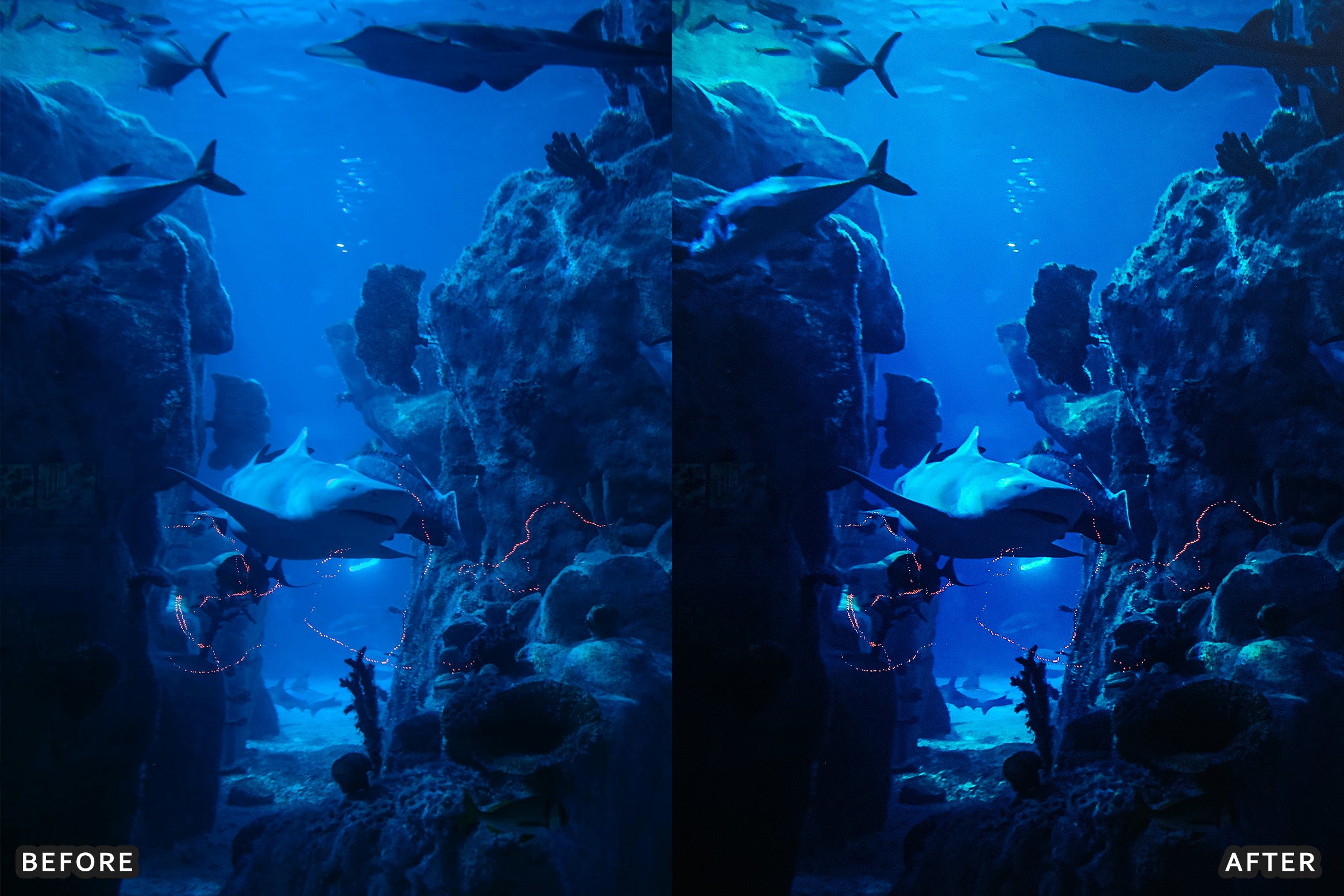 AI-Optimized Moody Underwater Lightroom Presets - Lightroom Presets - by AAA Presets