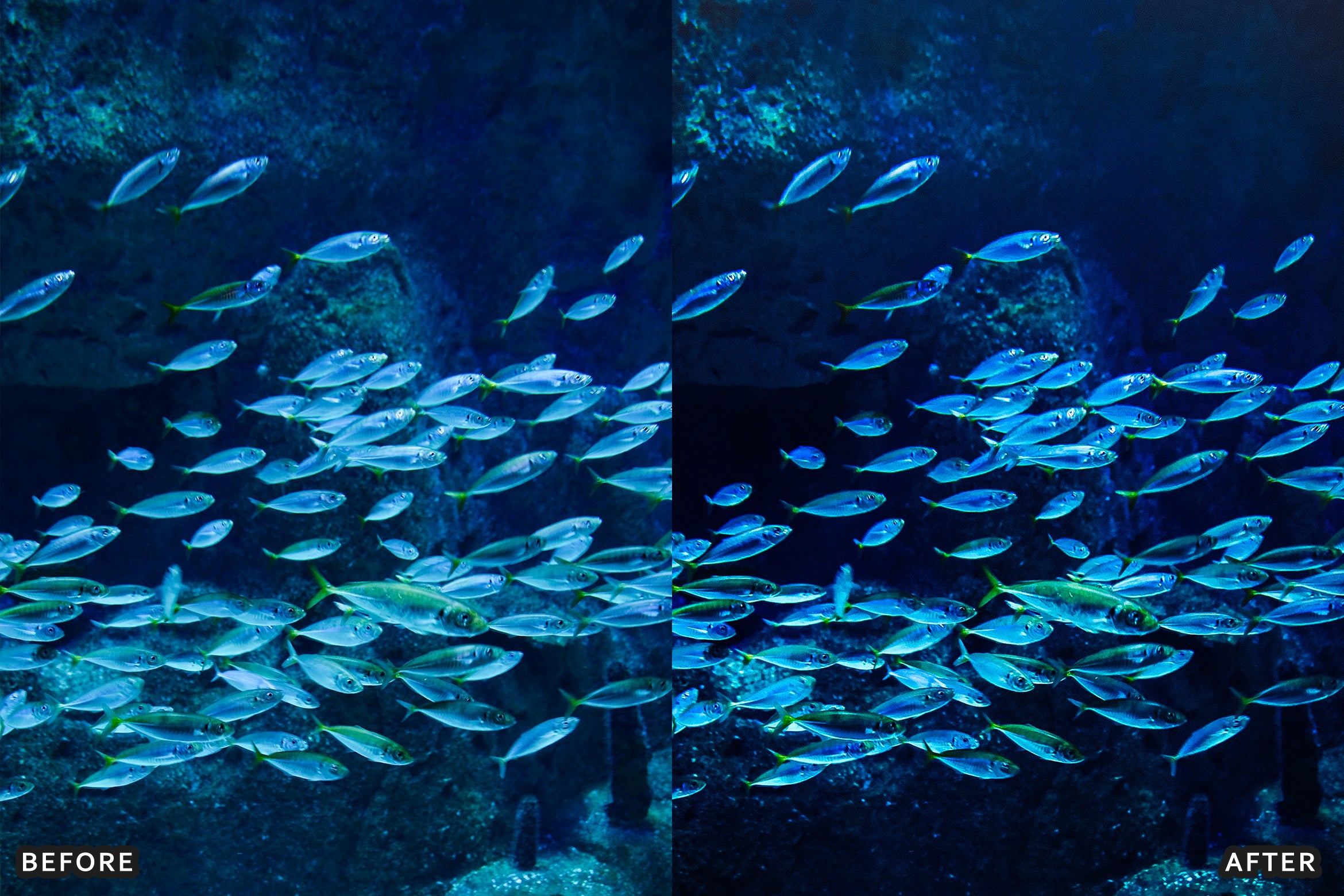 AI-Optimized Moody Underwater Lightroom Presets - Lightroom Presets - by AAA Presets
