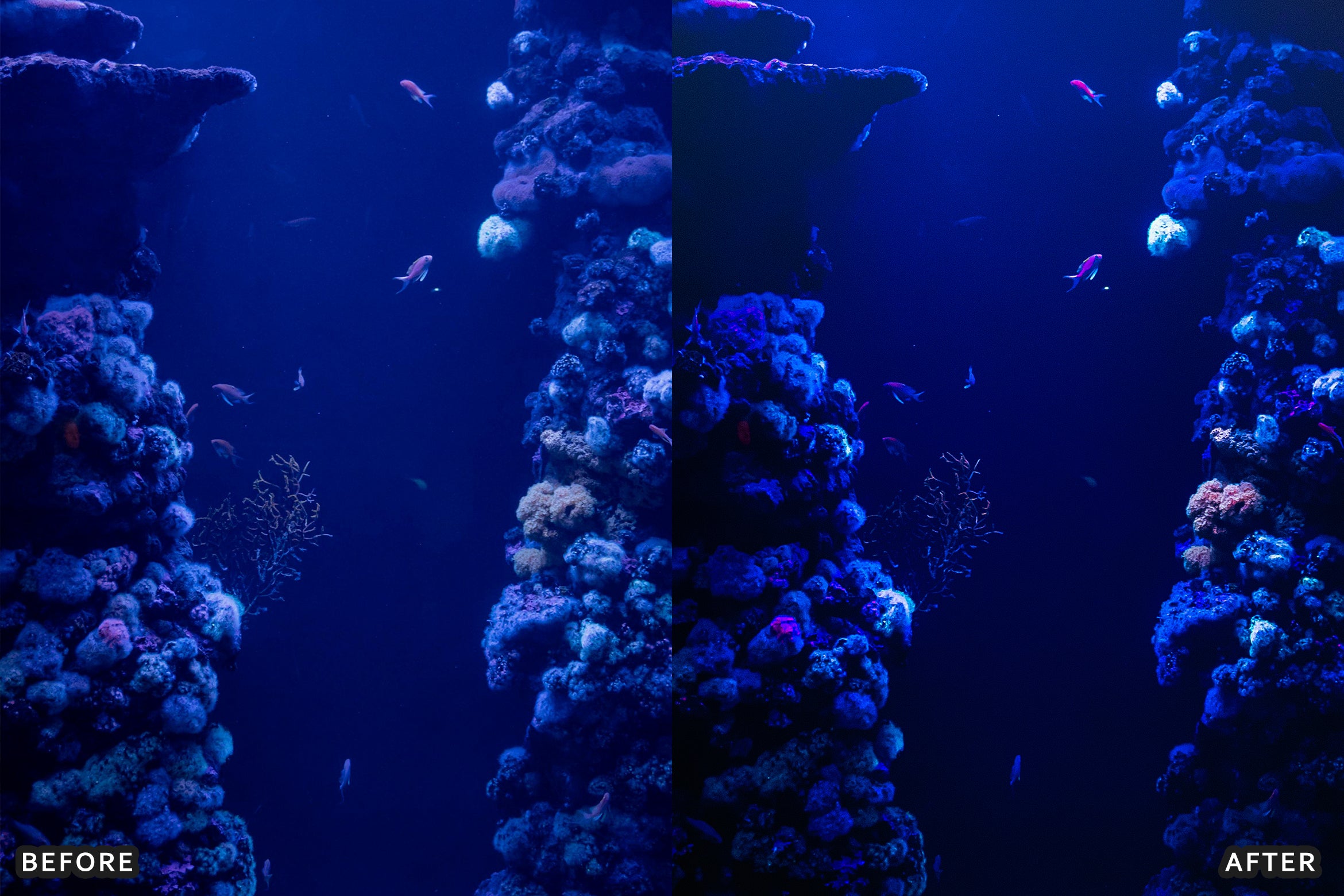 AI-Optimized Moody Underwater Lightroom Presets - Lightroom Presets - by AAA Presets