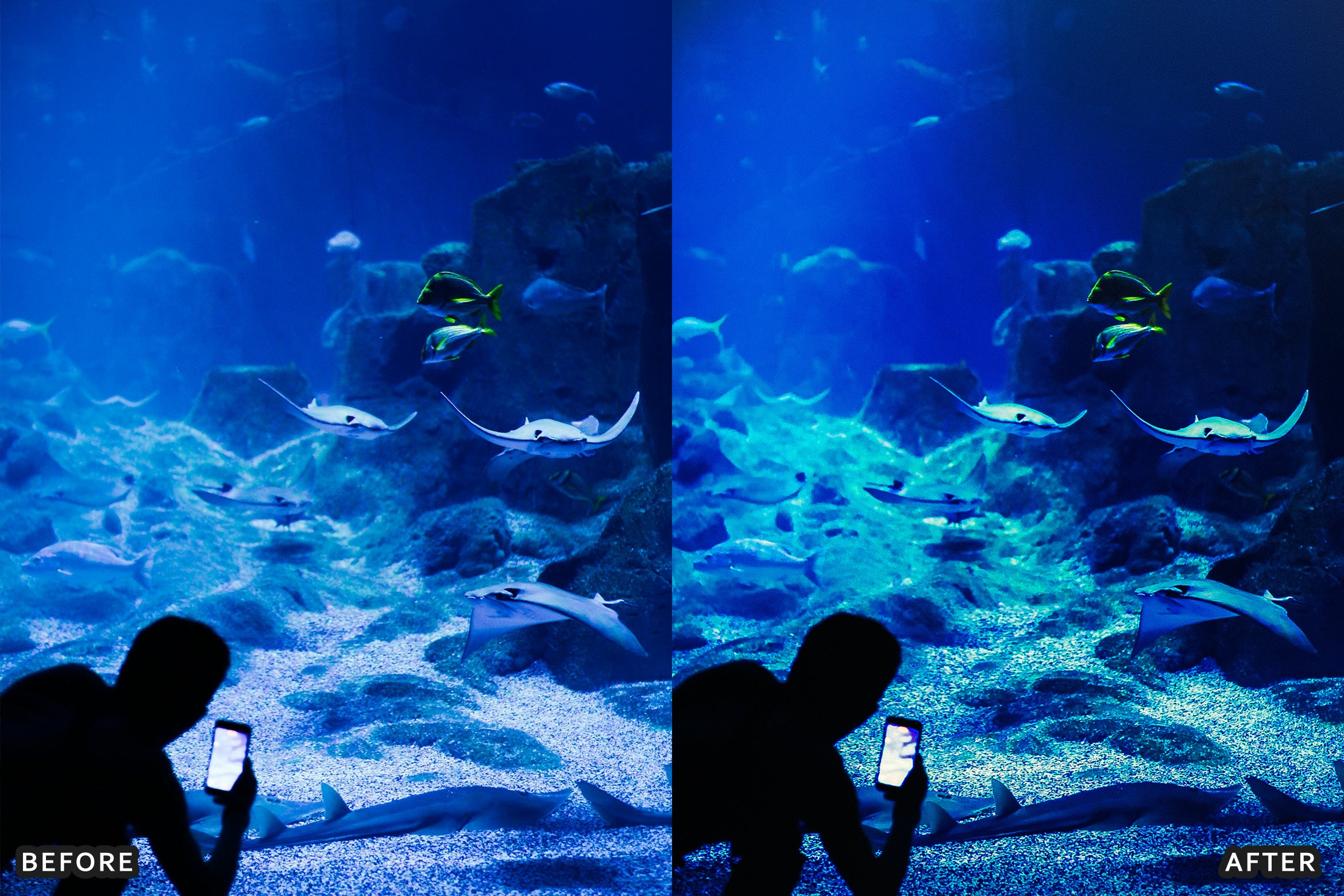 AI-Optimized Moody Underwater Lightroom Presets - Lightroom Presets - by AAA Presets