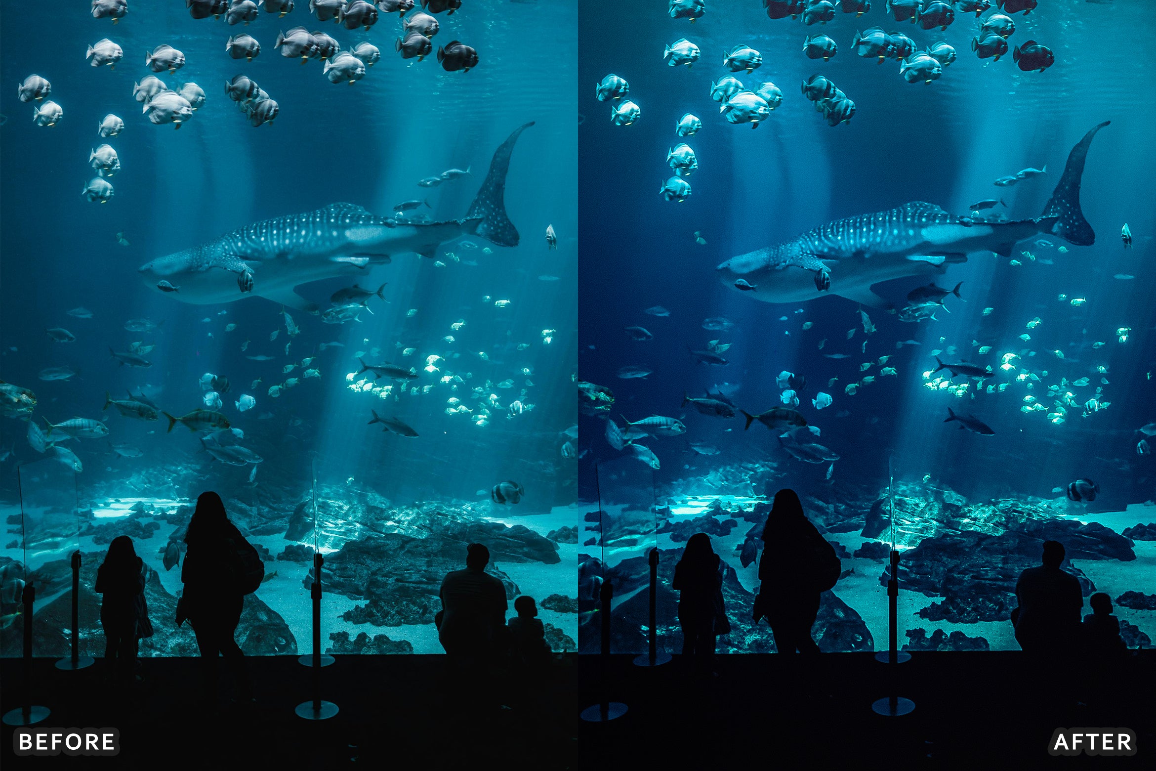 AI-Optimized Moody Underwater Lightroom Presets - Lightroom Presets - by AAA Presets