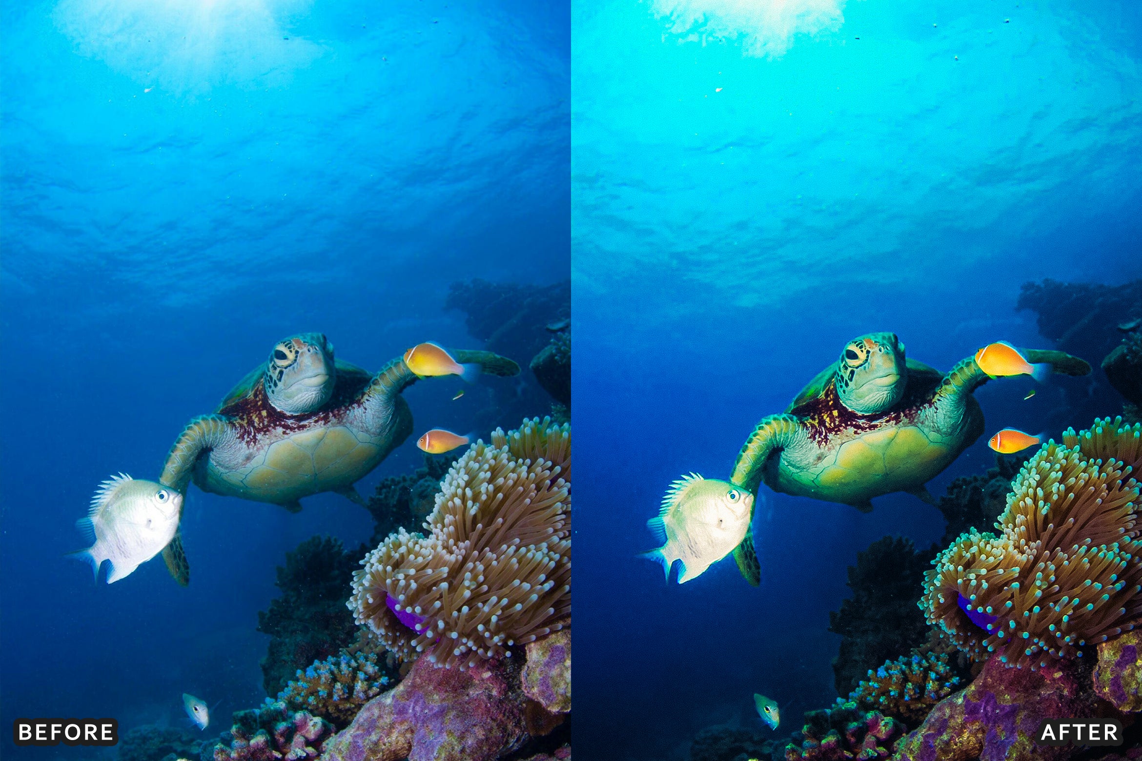 AI-Optimized Moody Underwater Lightroom Presets - Lightroom Presets - by AAA Presets