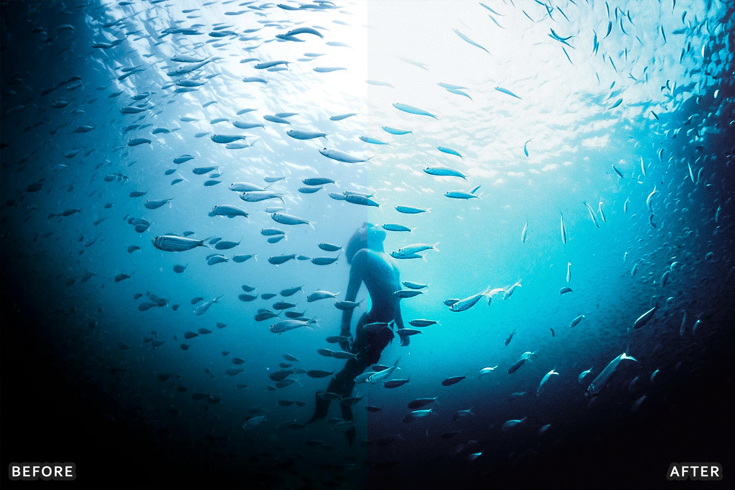 AI-Optimized Moody Underwater Lightroom Presets - Lightroom Presets - by AAA Presets