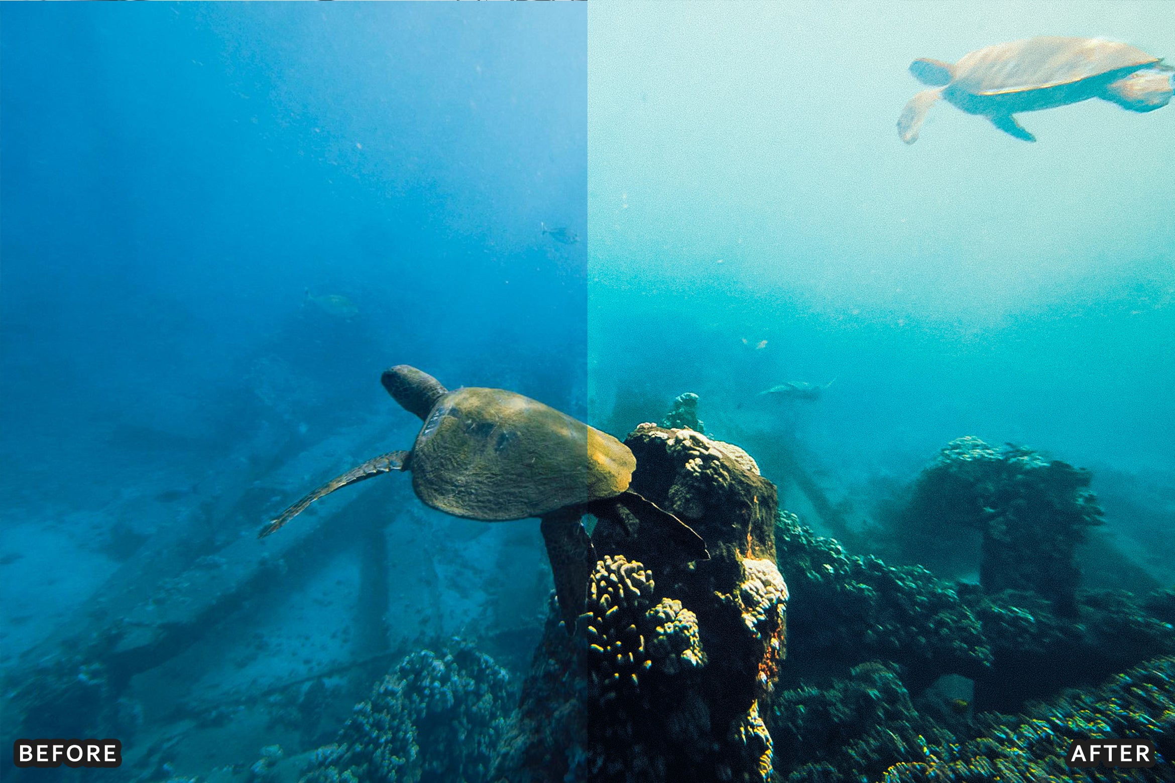 AI-Optimized Moody Underwater Lightroom Presets - Lightroom Presets - by AAA Presets