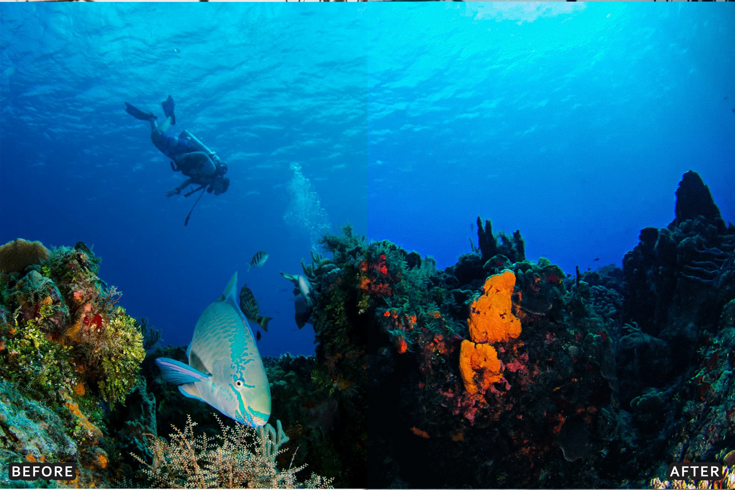 AI-Optimized Moody Underwater Lightroom Presets - Lightroom Presets - by AAA Presets