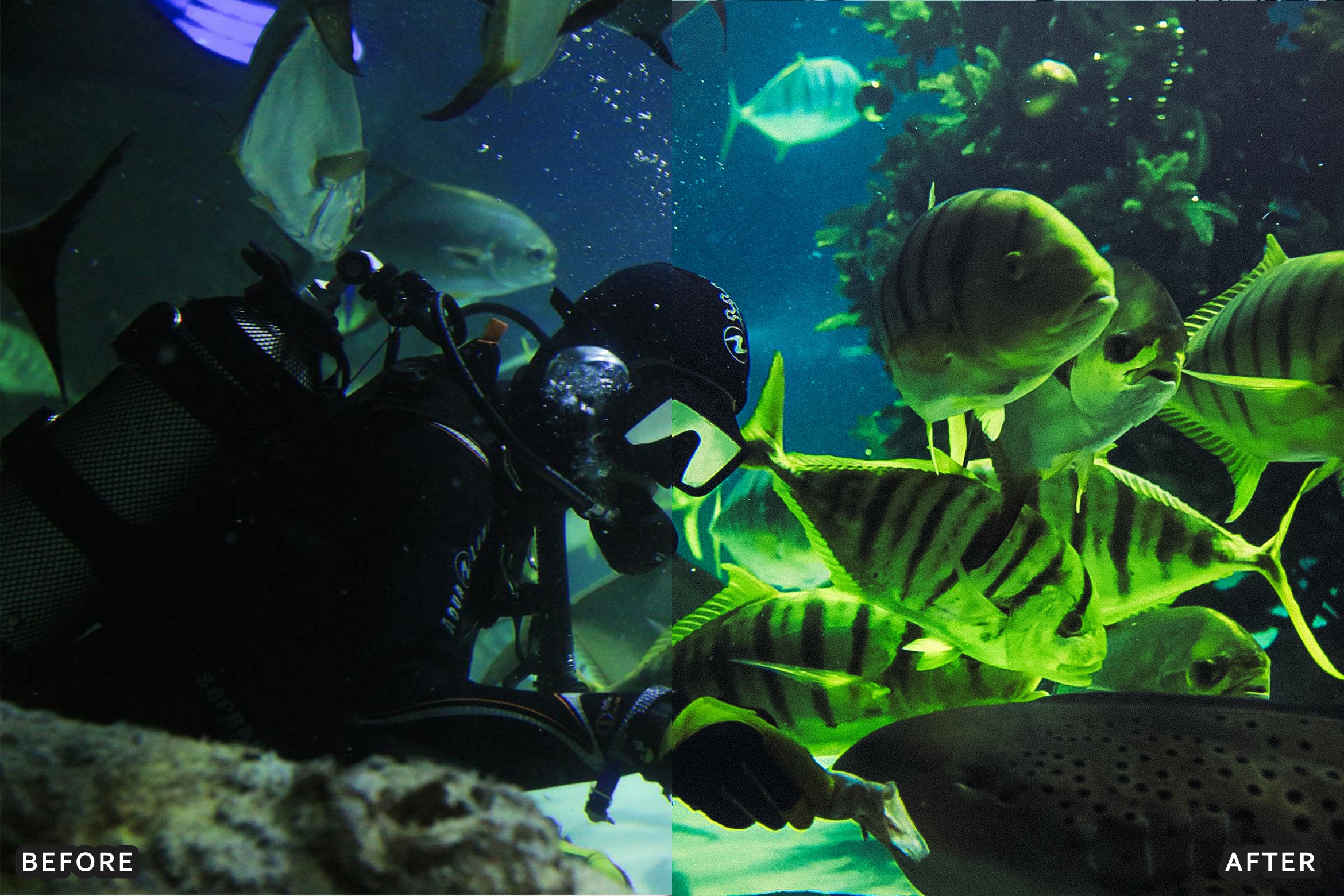 AI-Optimized Moody Underwater Lightroom Presets - Lightroom Presets - by AAA Presets