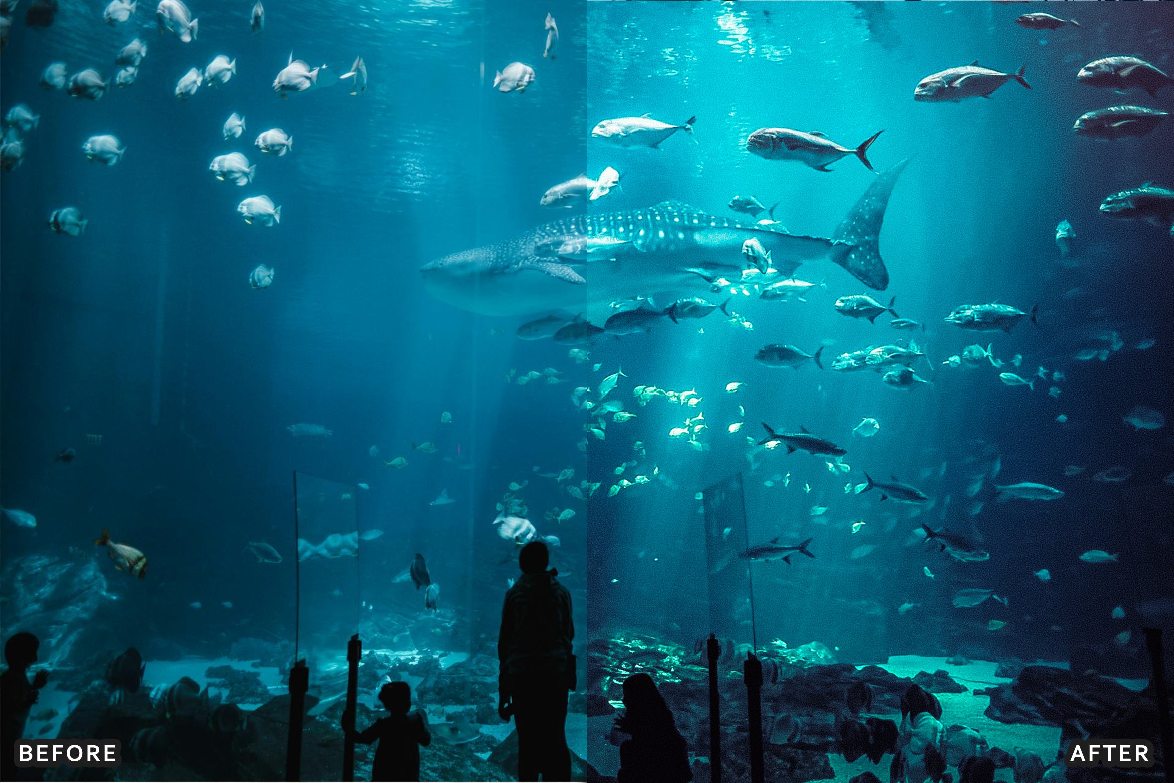 AI-Optimized Moody Underwater Lightroom Presets - Lightroom Presets - by AAA Presets