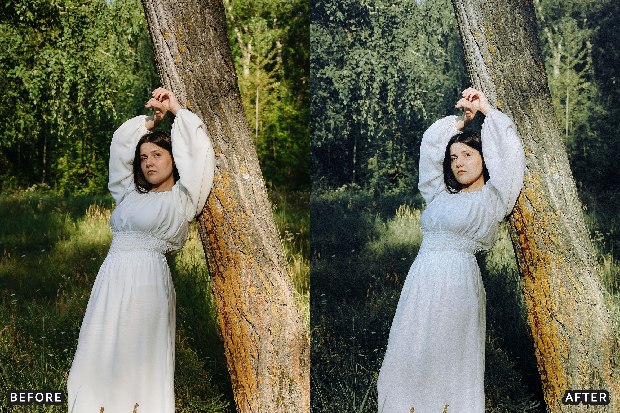 AI-Optimized Morning Garden Bright Cinematic Lightroom Presets - Lightroom Presets - by AAA Presets