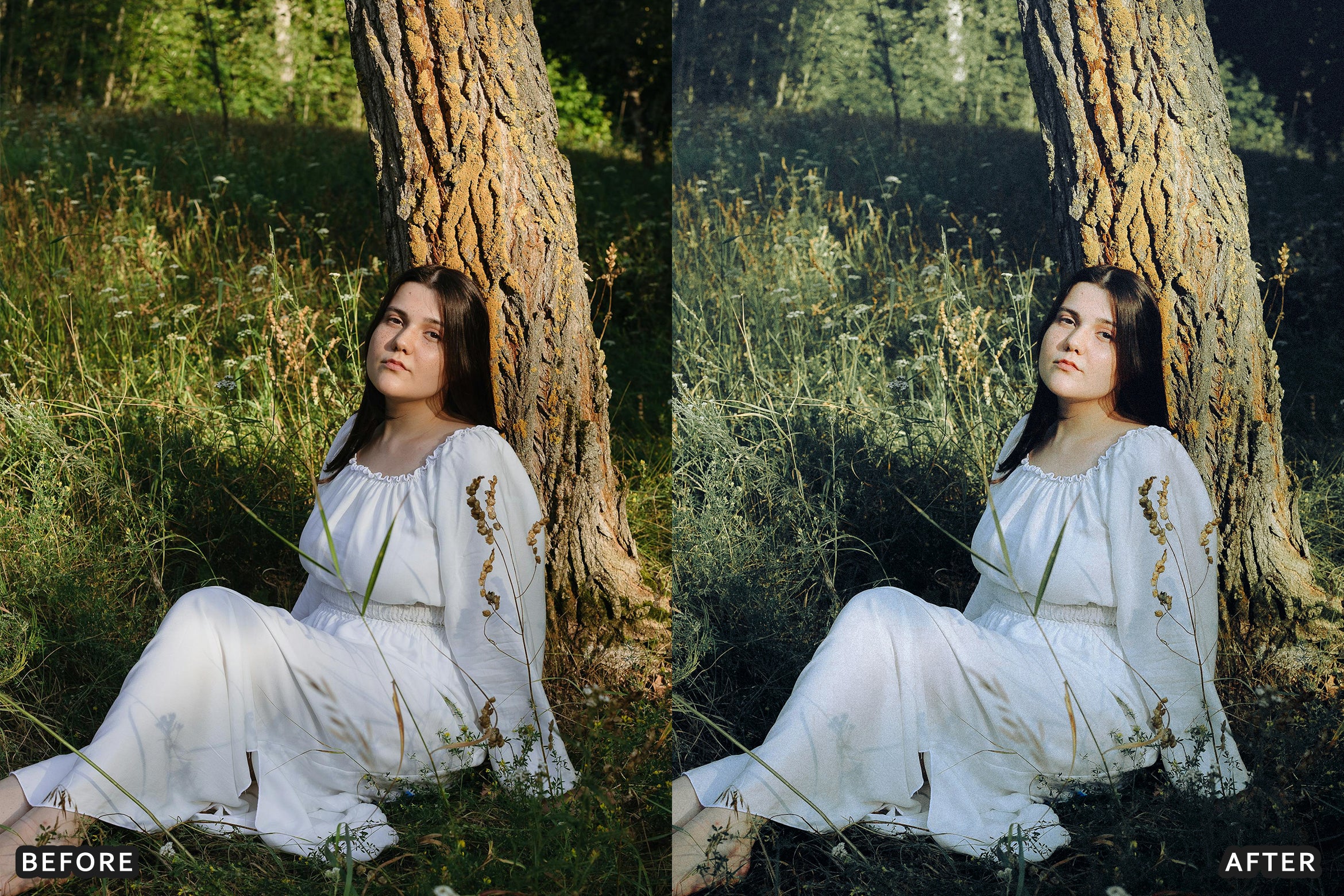 AI-Optimized Morning Garden Bright Cinematic Lightroom Presets - Lightroom Presets - by AAA Presets