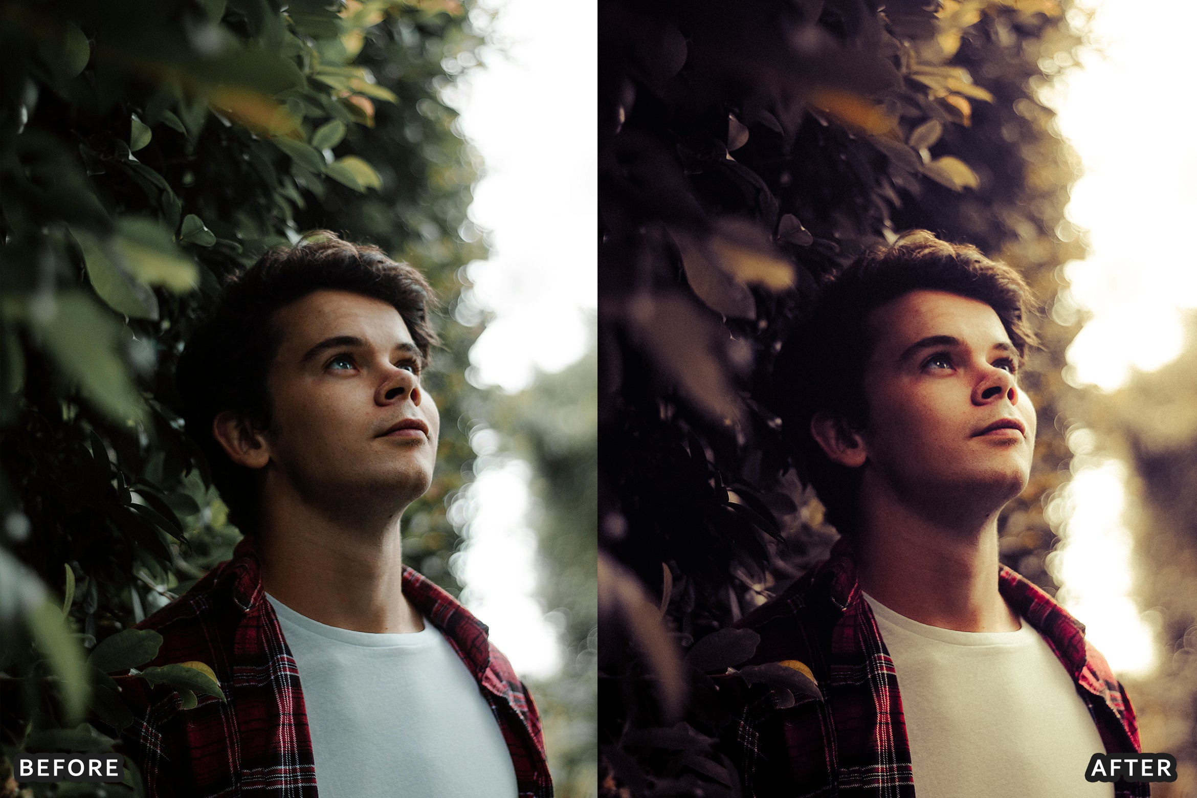 AI-Optimized Warm Velvet Lightroom Presets - Lightroom Presets - by AAA Presets