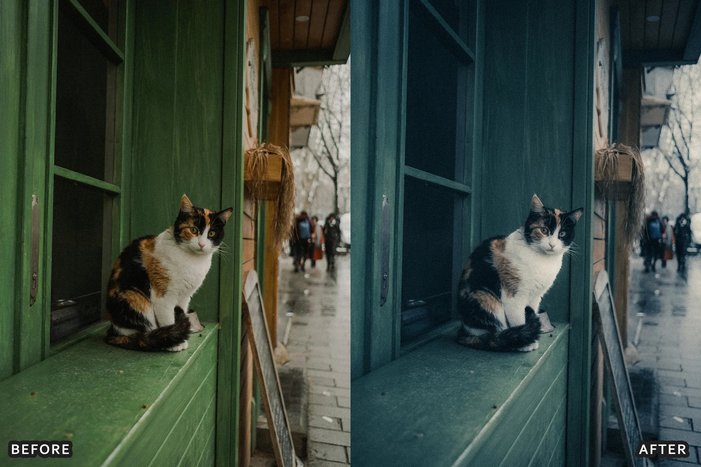 AI-Optimized 80s Vintage Pastel Tone Lightroom Presets - Lightroom Presets - by AAA Presets