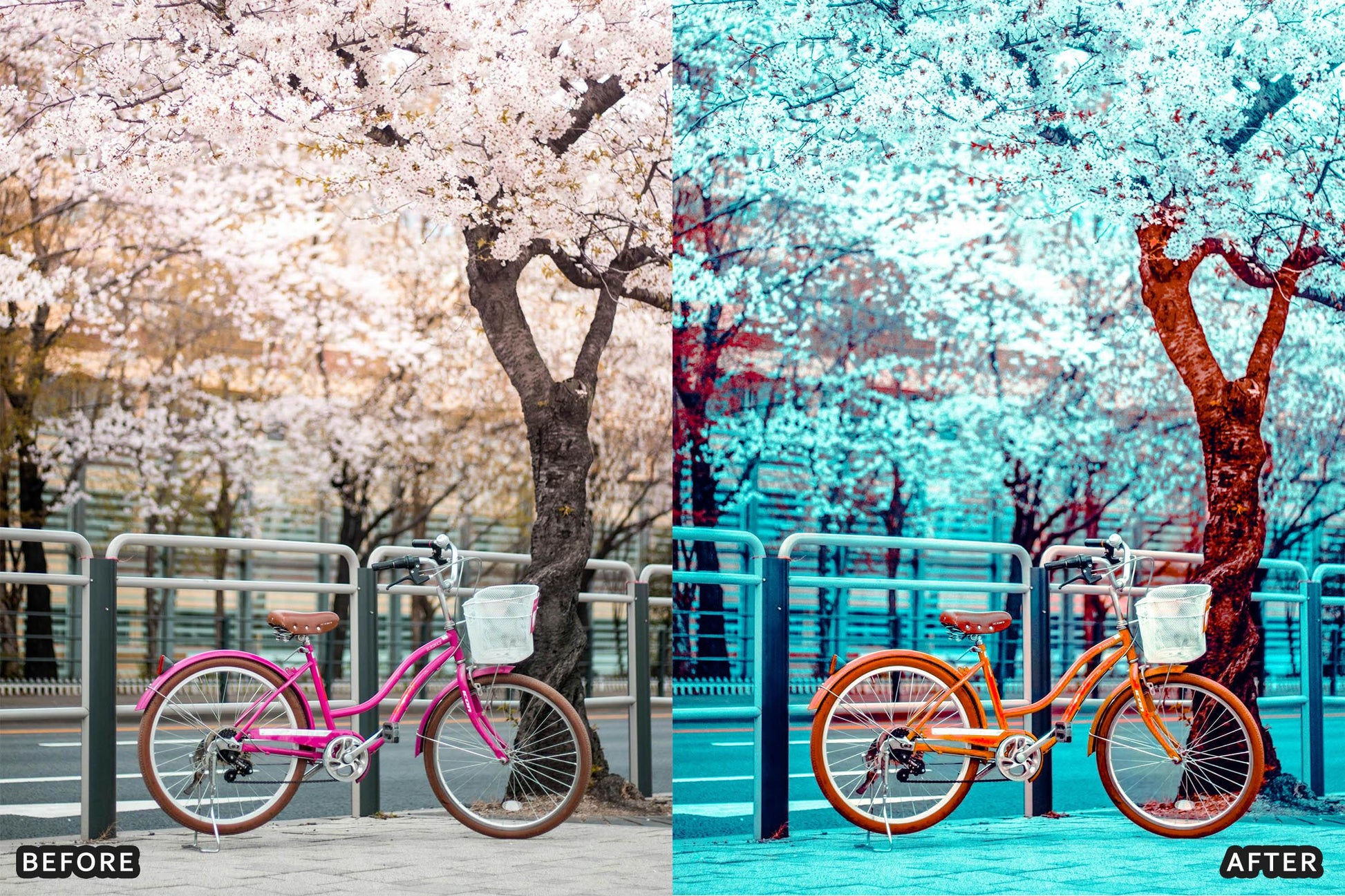 AI-Optimized Anime Style Presets for Lightroom & Photoshop - adobe lightroom presets, Blogger presets, bright presets, Cinematic Presets, HDR presets, instagram presets, landscape presets, lightroom presets, moody presets, presets before and after, professional lightroom presets, Street Photography Presets - aaapresets.com