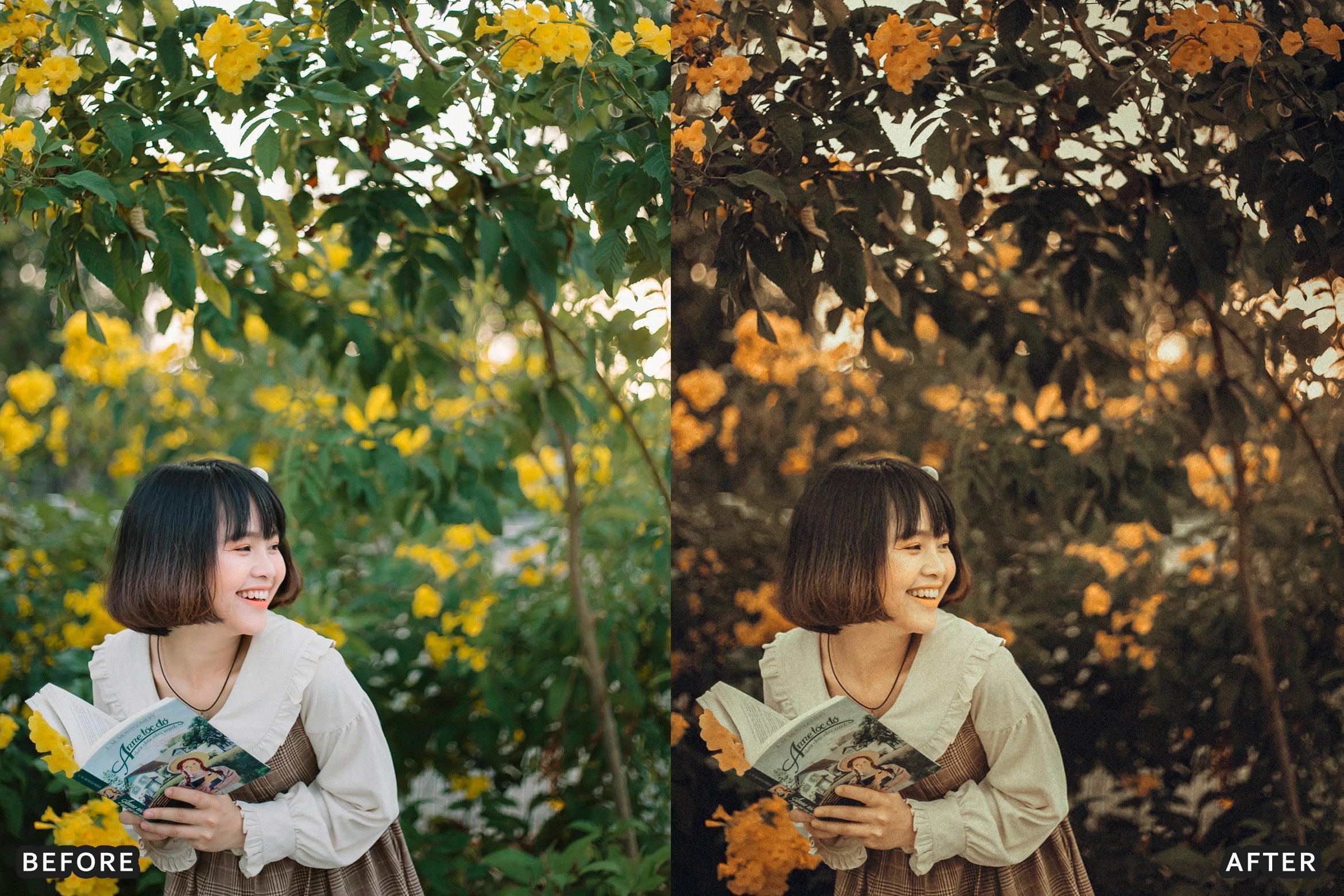 AI-Optimized Brown Aesthetic Lightroom Presets - Lightroom Presets - by AAA Presets