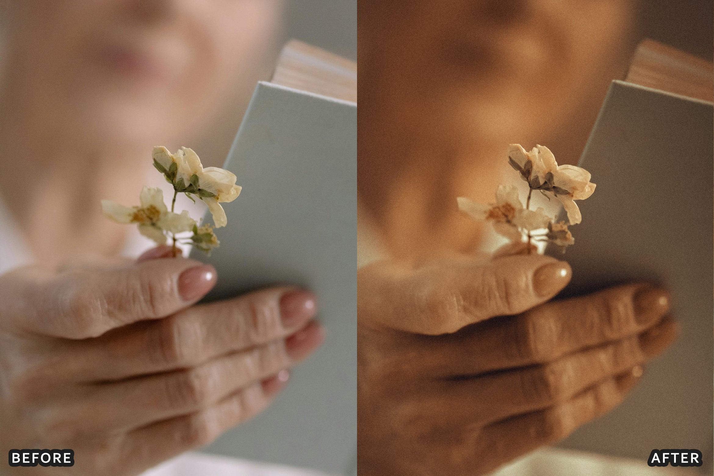 AI-Optimized Brown Aesthetic Lightroom Presets - Lightroom Presets - by AAA Presets