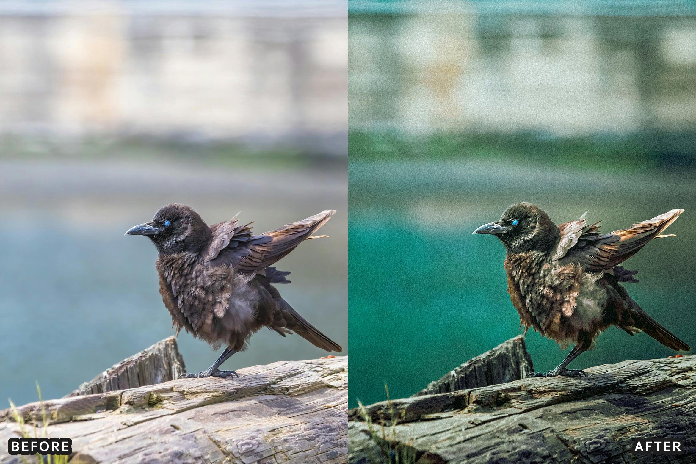 AI-Optimized Cinematic Bird Wildlife Lightroom Presets - Lightroom Presets - by AAA Presets