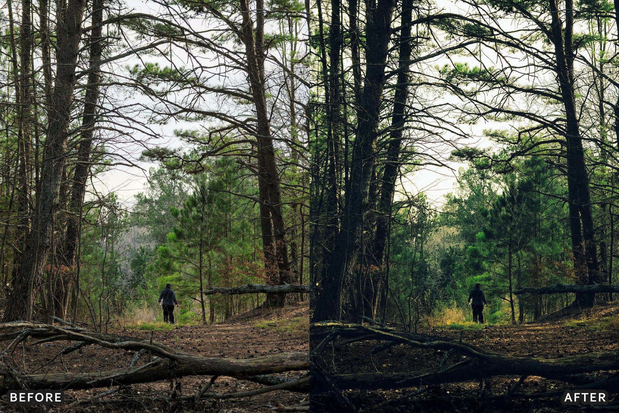 AI-Optimized Cinematic Film Landscape Lightroom Presets - Lightroom Presets - by AAA Presets