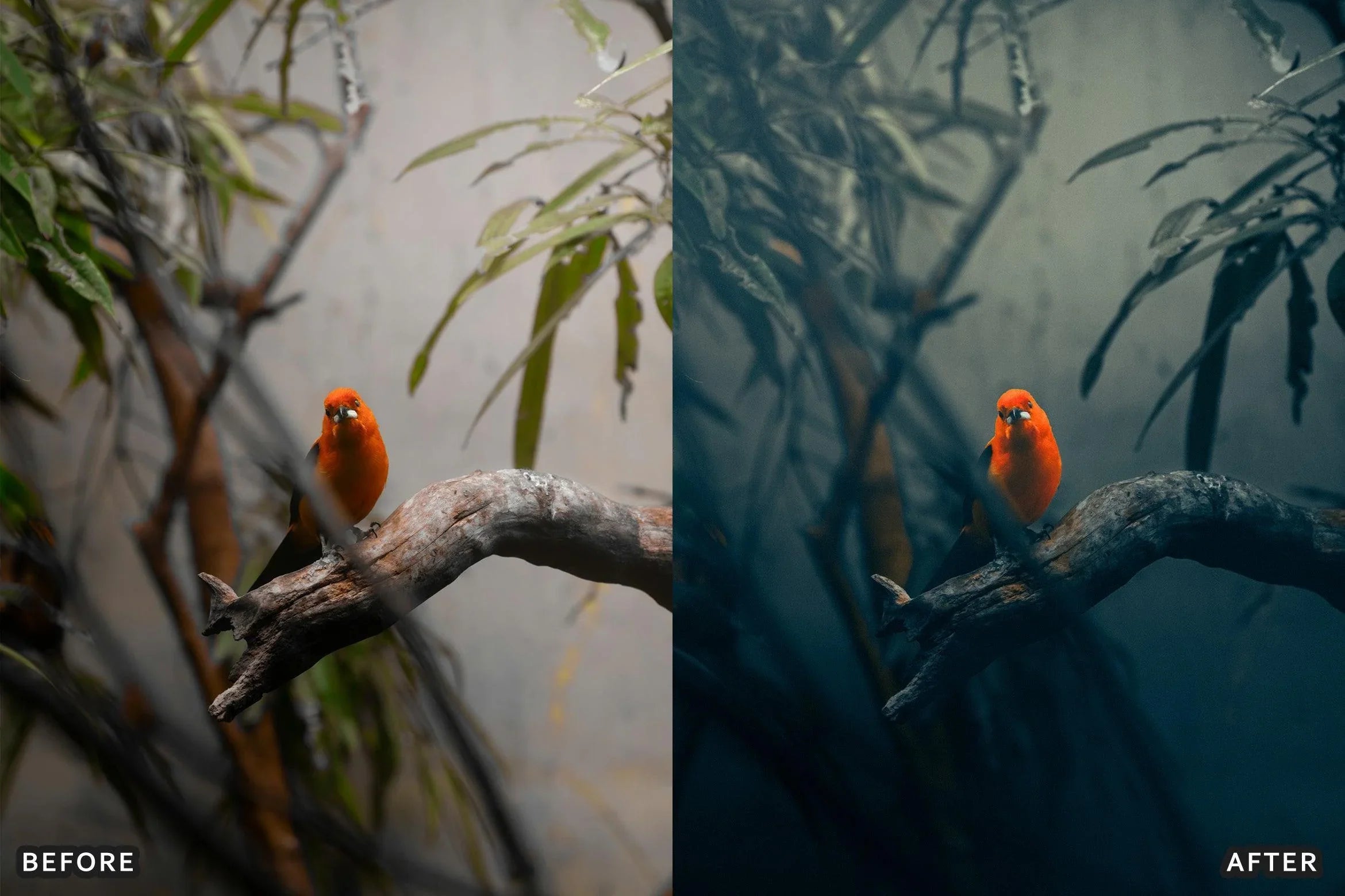 AI-Optimized Dark Aesthetic Lightroom Presets - Lightroom Presets - by AAA Presets