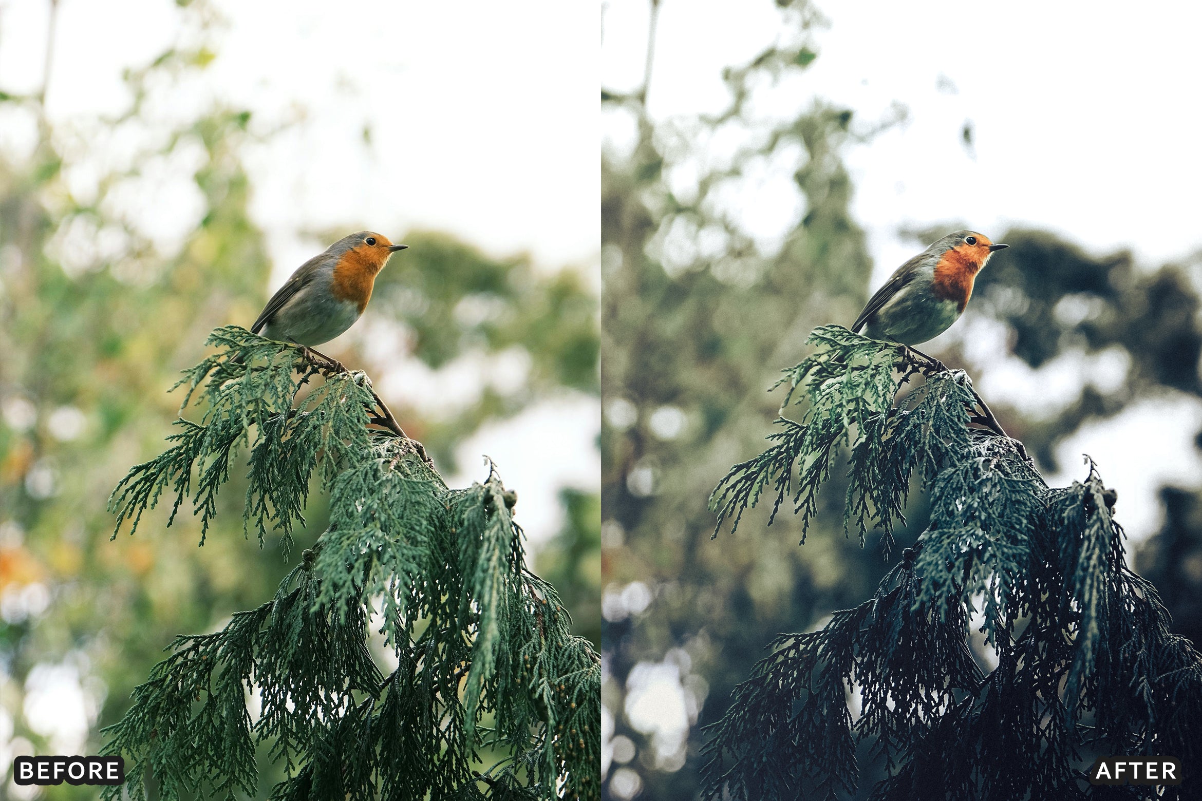 AI-Optimized Dark Green Lightroom Presets - Lightroom Presets - by AAA Presets