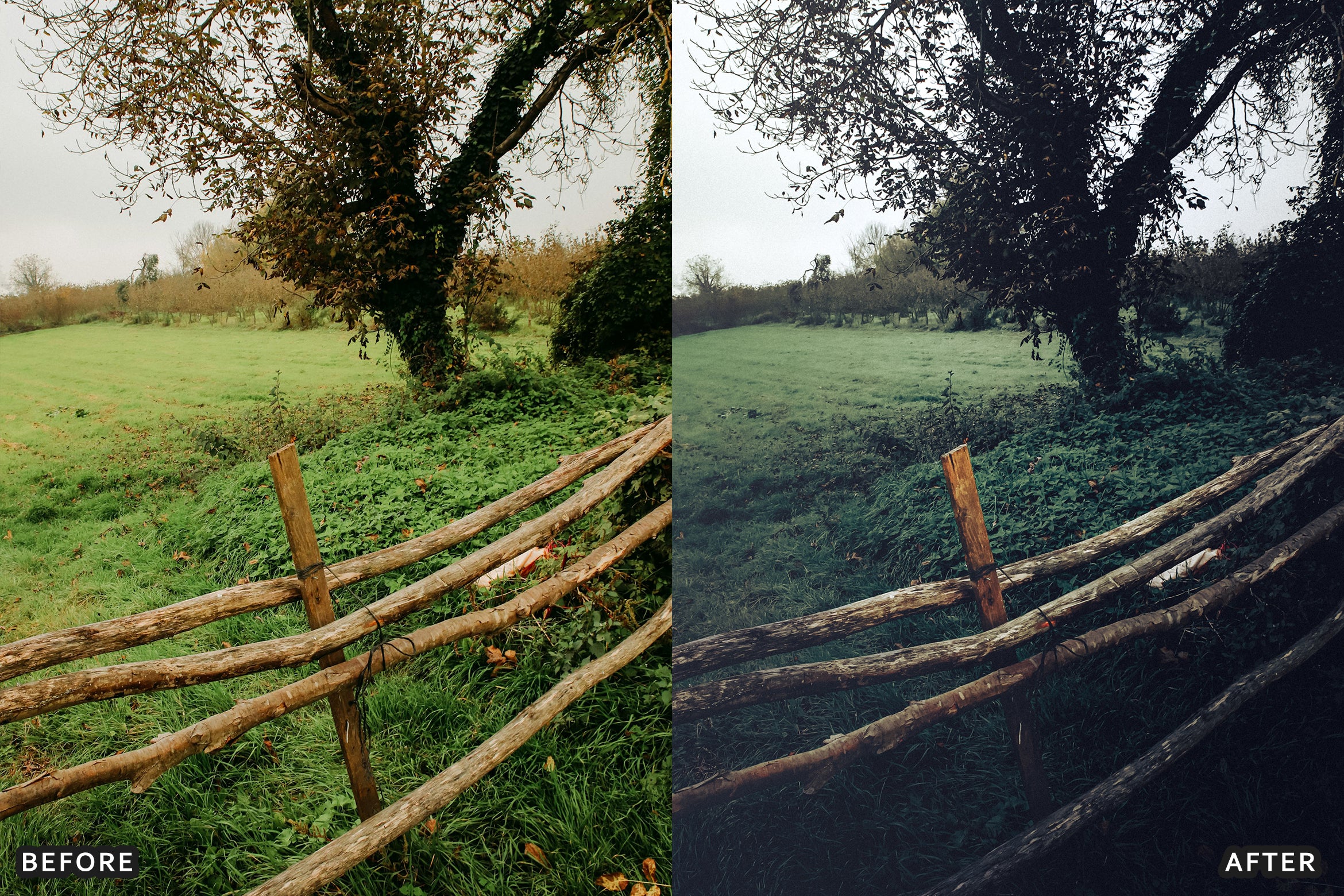AI-Optimized Dark Green Lightroom Presets - Lightroom Presets - by AAA Presets
