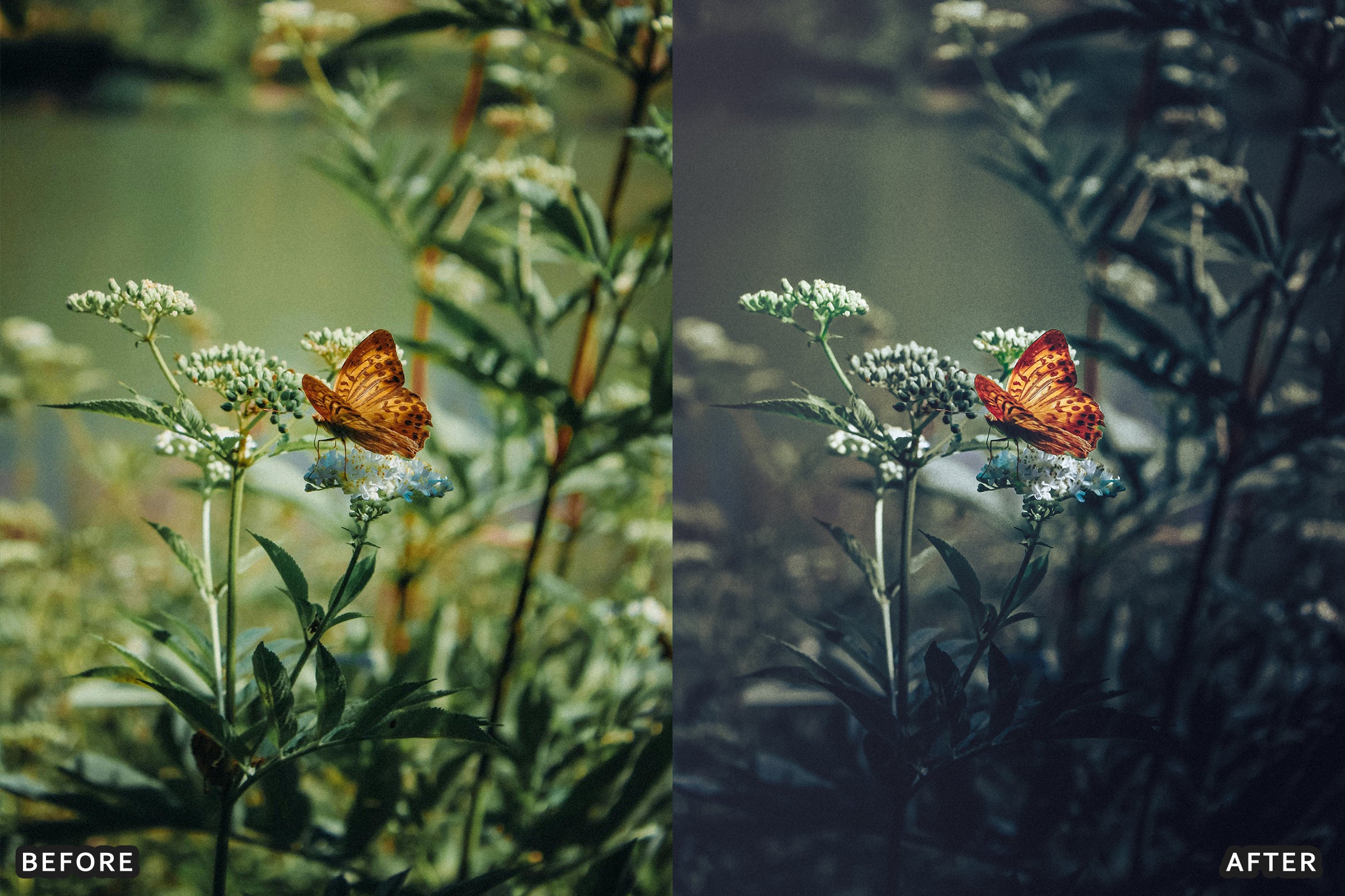 AI-Optimized Dark Green Lightroom Presets - Lightroom Presets - by AAA Presets