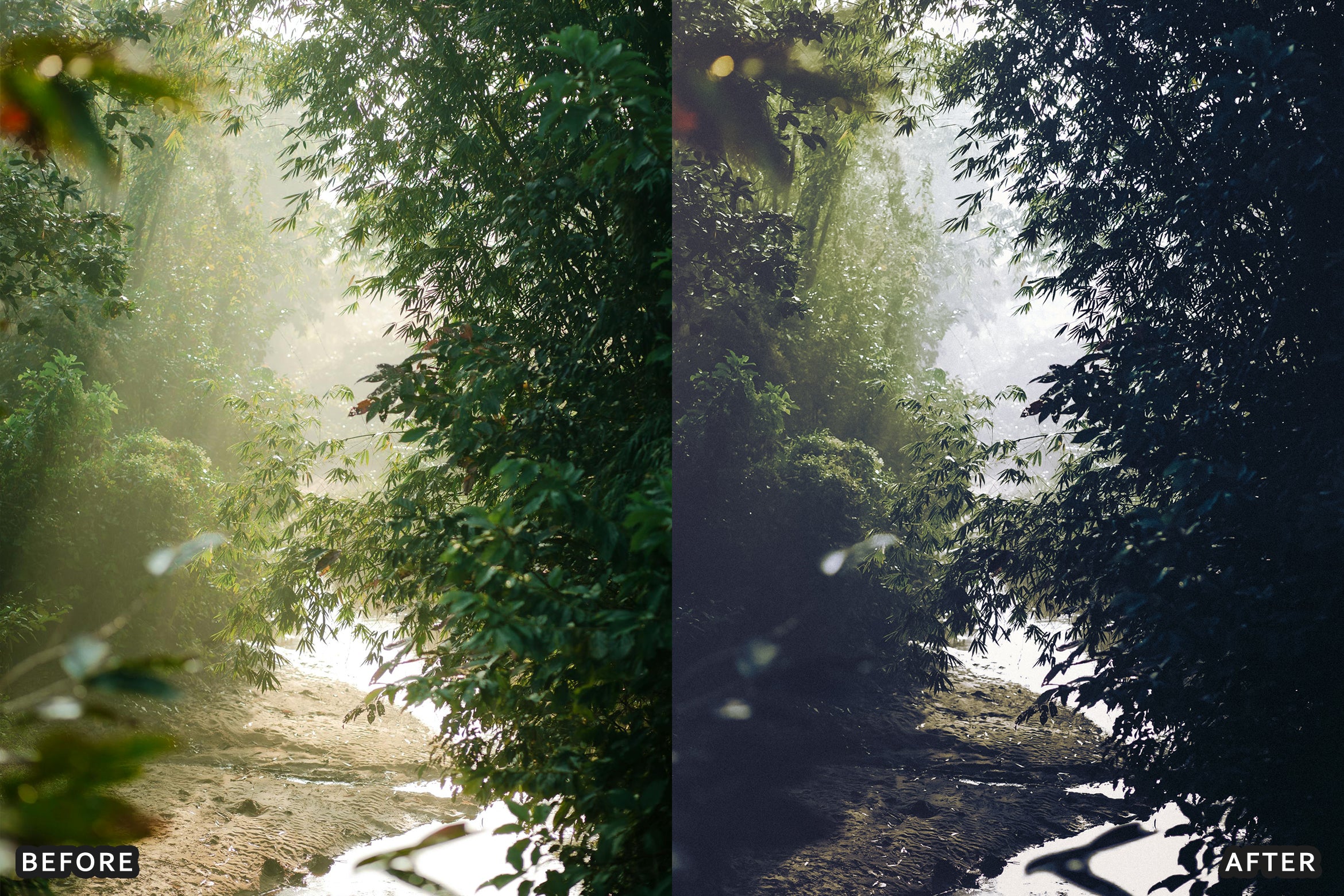AI-Optimized Dark Green Lightroom Presets - Lightroom Presets - by AAA Presets