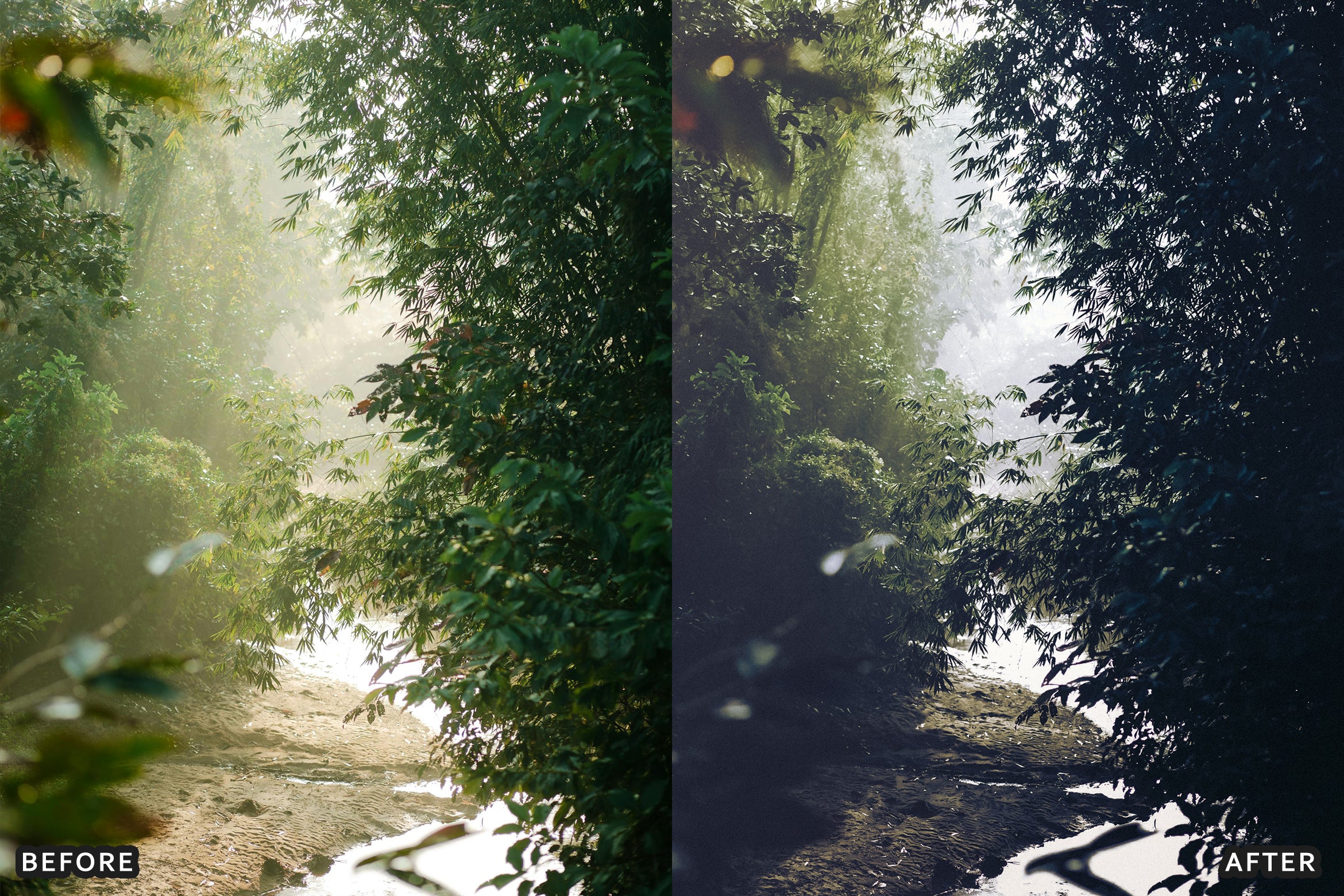 AI-Optimized Dark Green Lightroom Presets - adobe lightroom presets, Blogger presets, bright presets, car presets, Cinematic Presets, HDR presets, instagram presets, landscape presets, lightroom presets, moody presets, presets before and after, professional lightroom presets - aaapresets.com